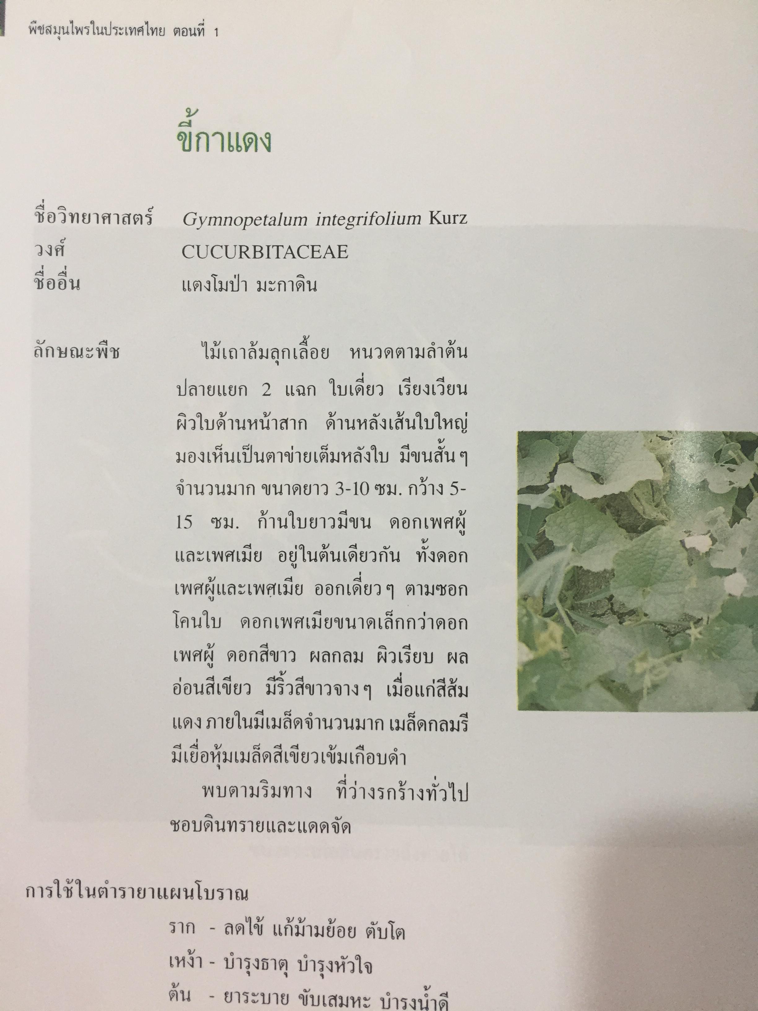 พืชสมุนไพรในประเทศไทย ตอนที่ 1. จัดทำโดย สถาบันวิจัยสมุนไพร กรมวิทยาศาสตร์การแพทย์ กระทรวงสาธารณสุข 2,800 กรัม