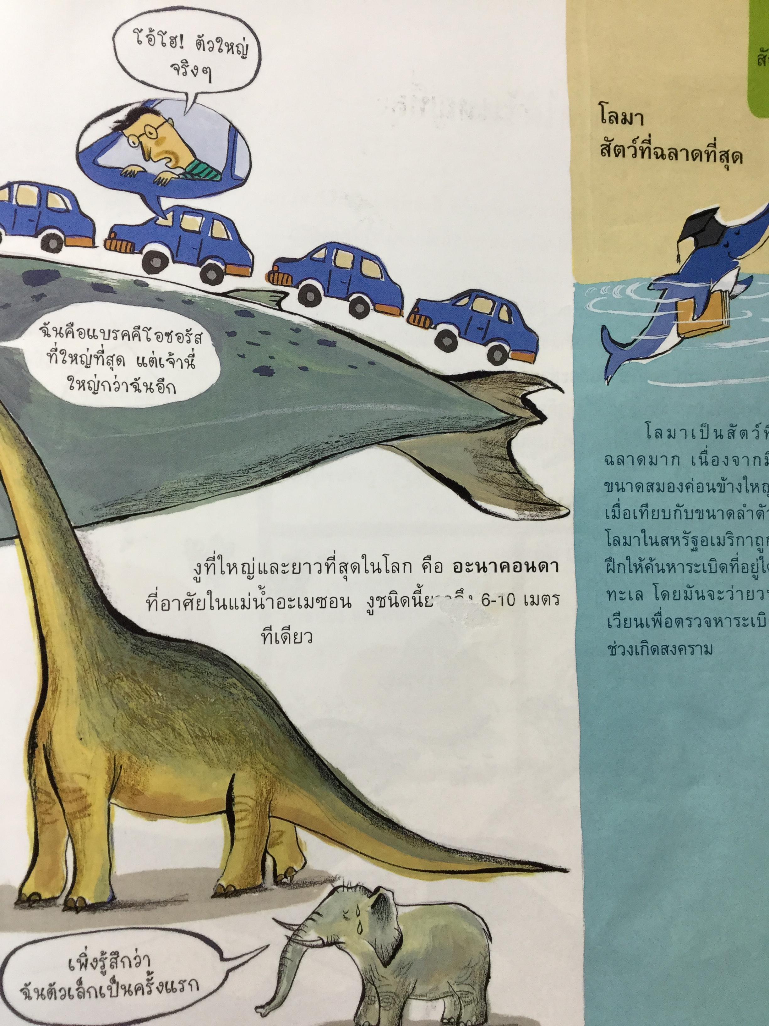 สารานุกรม ทำไม. เฉลยสารพันข้อสงสัยที่คาใจเด็กฯ 0 กก.
