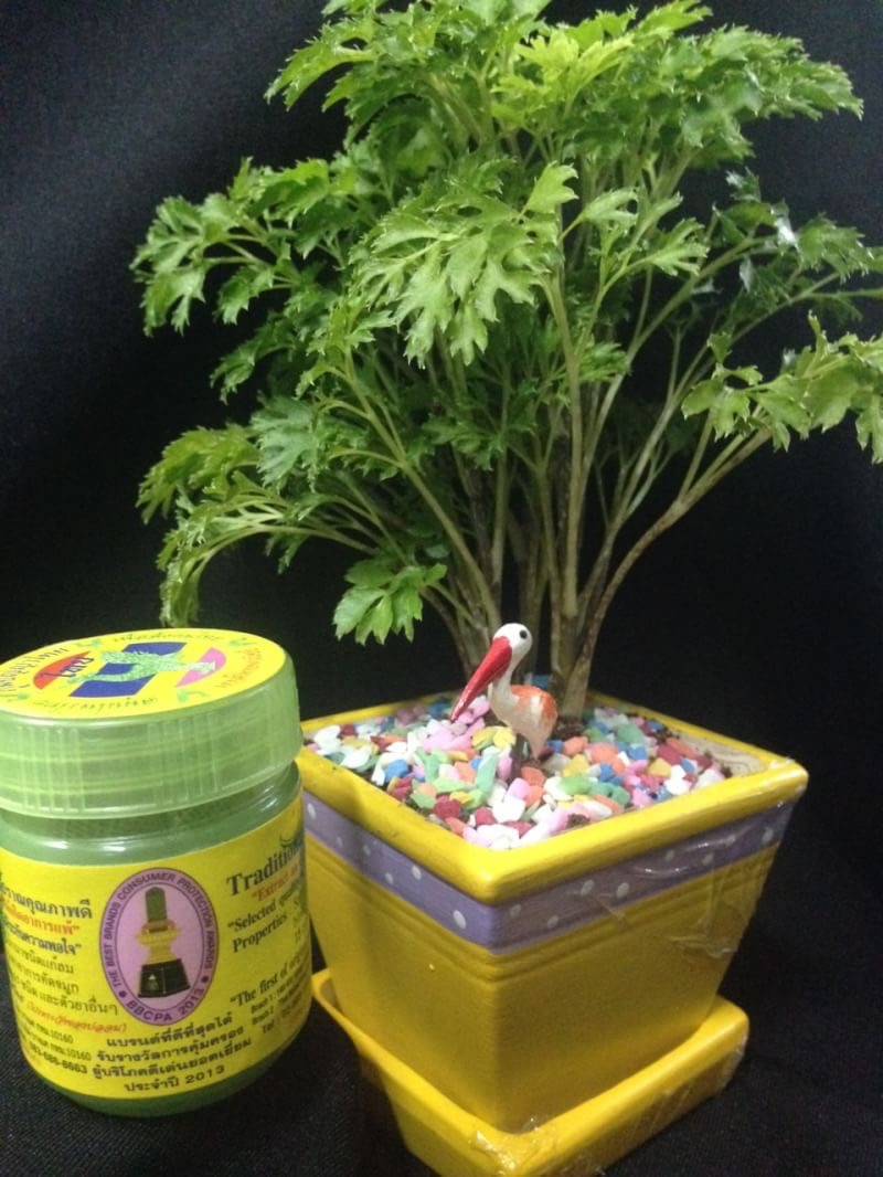 ยาดมสมุนไพร หงส์ไทย