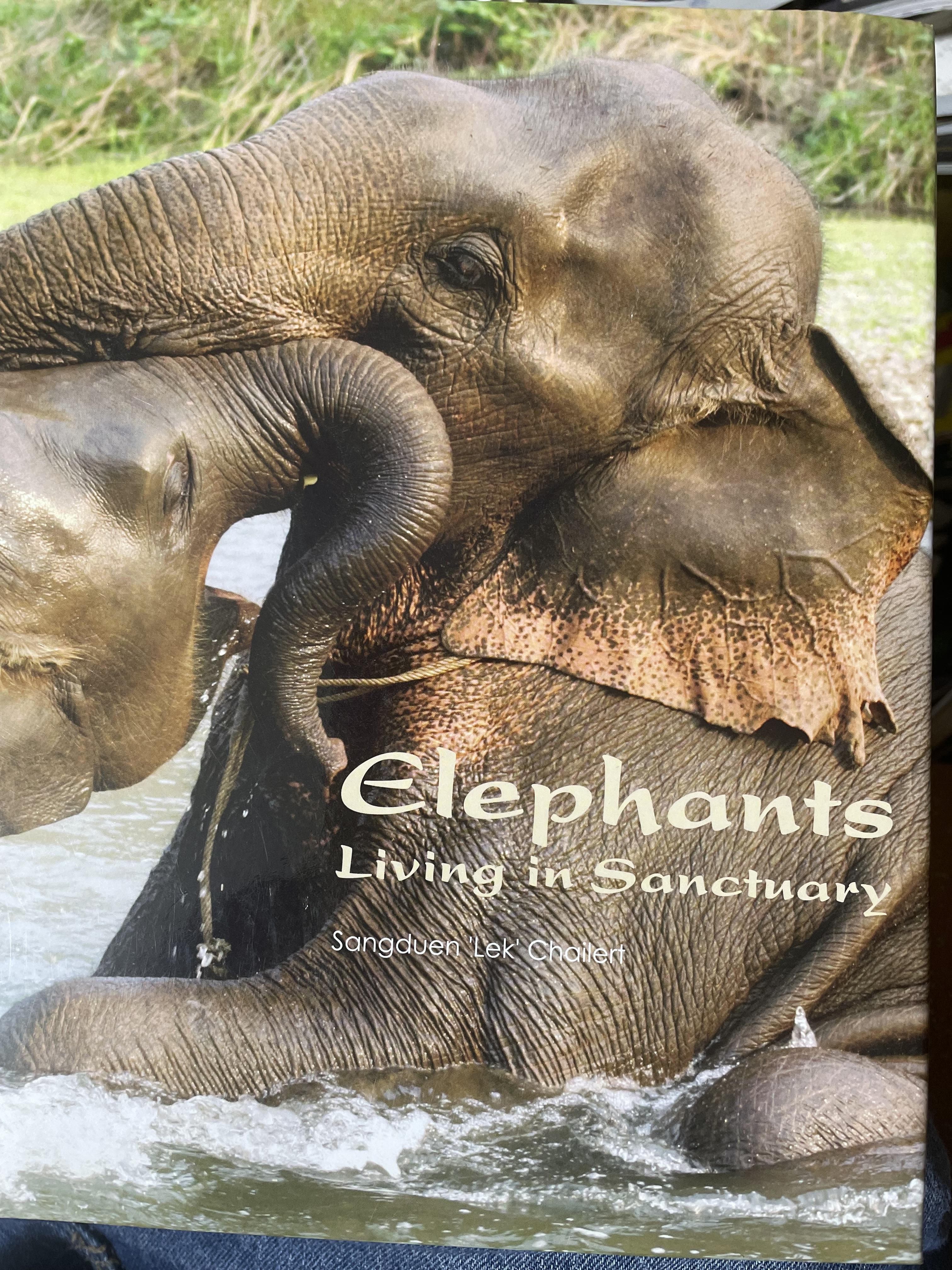 Elephants Living in Sanctuary 3 กก.