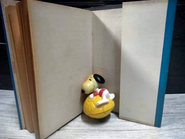 เพื่อนชายให้เช่า เล่มเดียวจบ