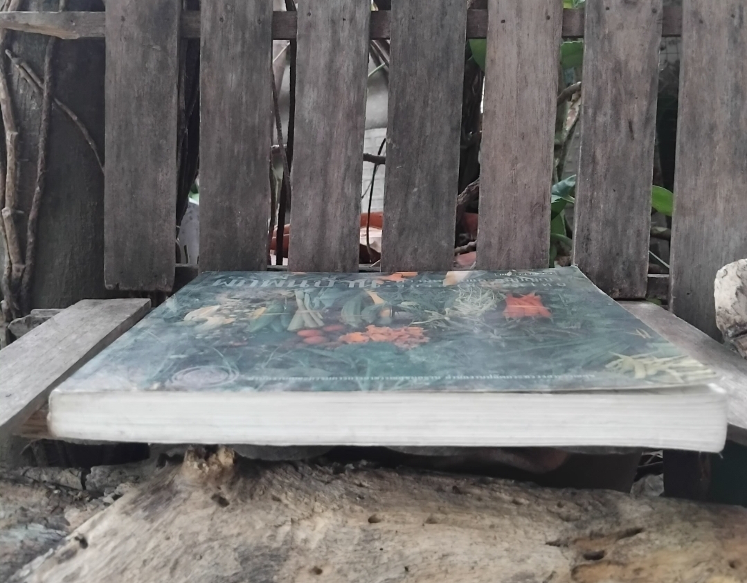 ผักพื้นบ้าน ความหมายและภูมิปัญญาของสามัญชนไทย กำเนิดผักพื้นบ้าน ชนิด-ประโยชน์ทางยา สูตรปรุงอาหาร สะสม