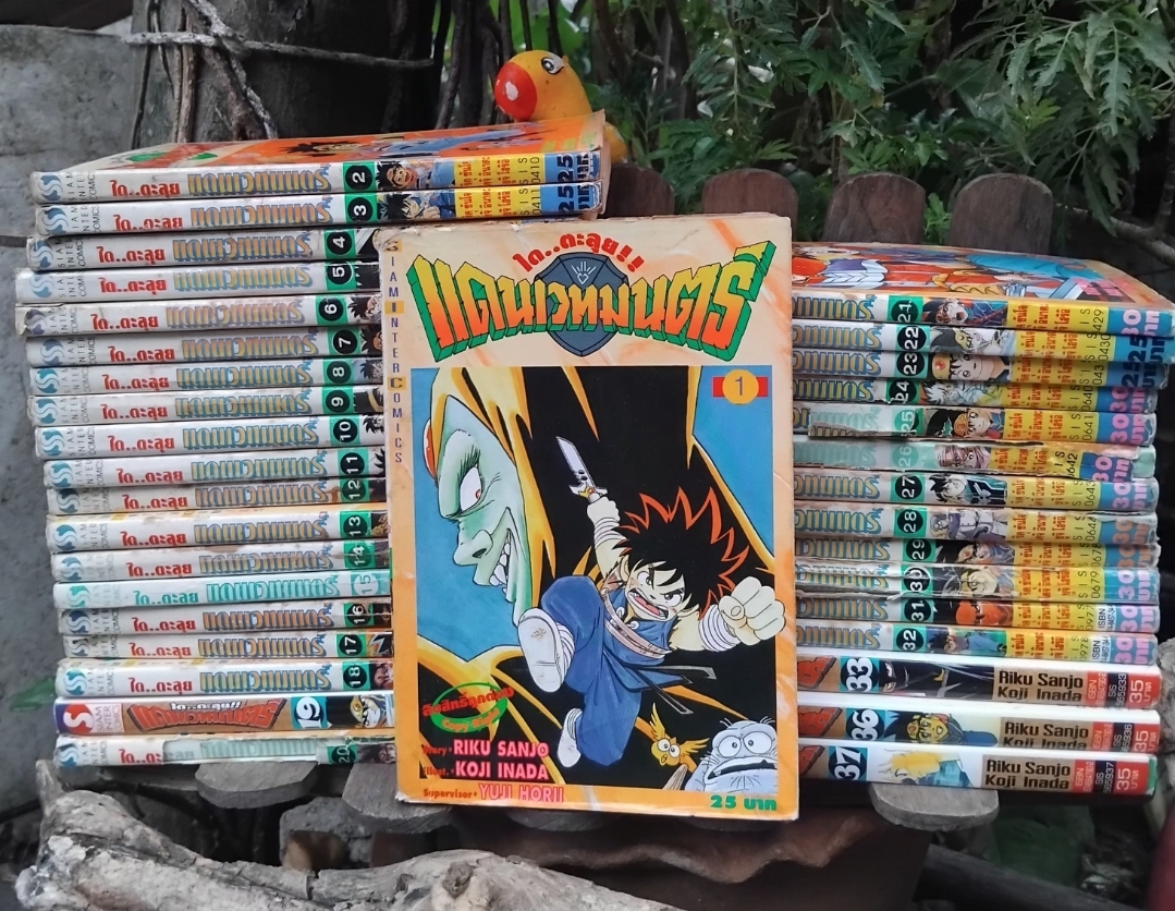 ได ตะลุยแดนเวทย์มนต์ เล่ม 1-37 จบ ขาด34-35 สะสมทุกเล่ม ไม่ปั๊ม ไม่แม็กซ์ มีตำหนิ
