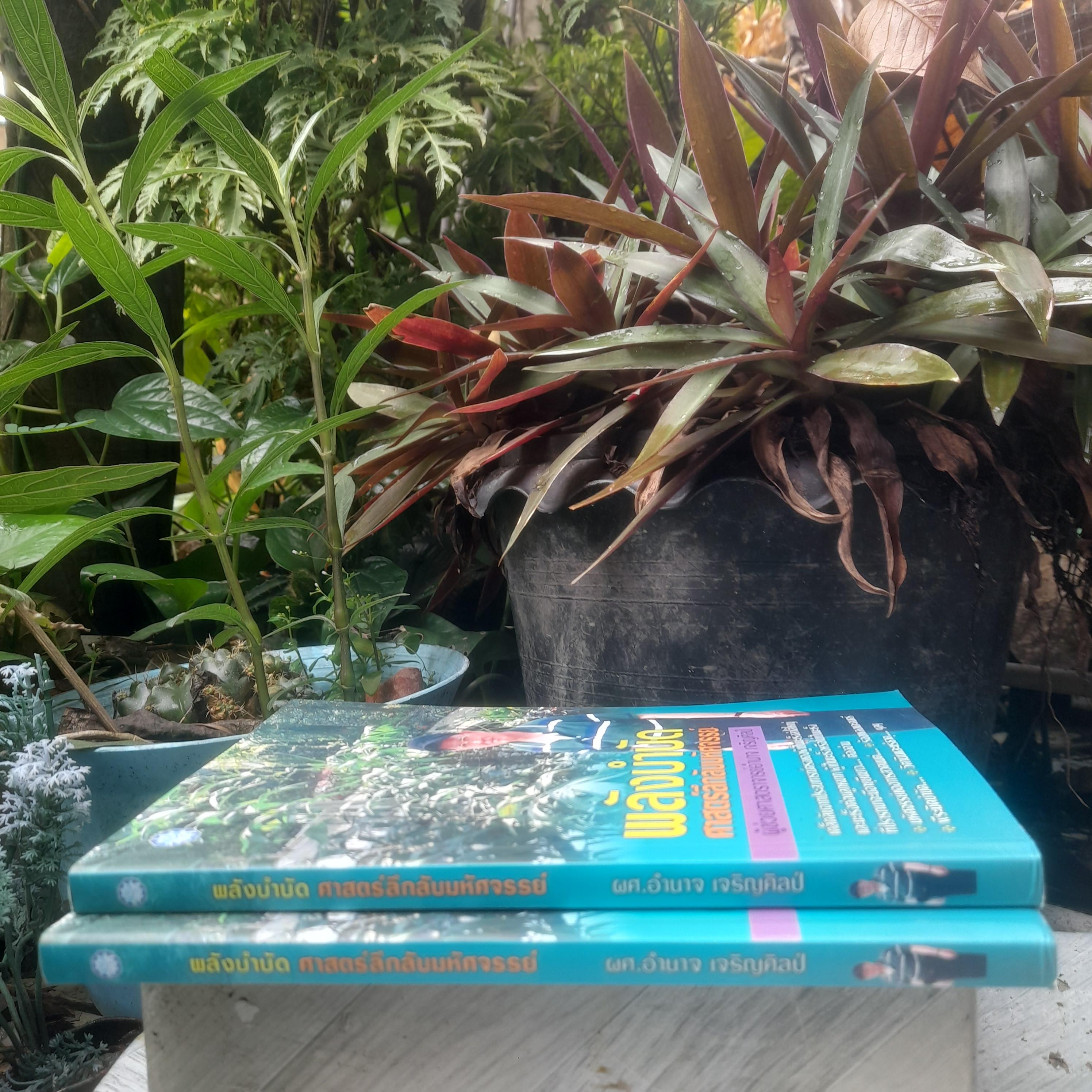 พลังบำบัด ศาสตร์ลึกลับมหัศจรรย์ โดย ผช.ศ. อำนาจ เจริญศิลป์ หนังสือของผู้ที่ปรารถนาจะมีอายุยืนยาว มือหนึ่งครับ