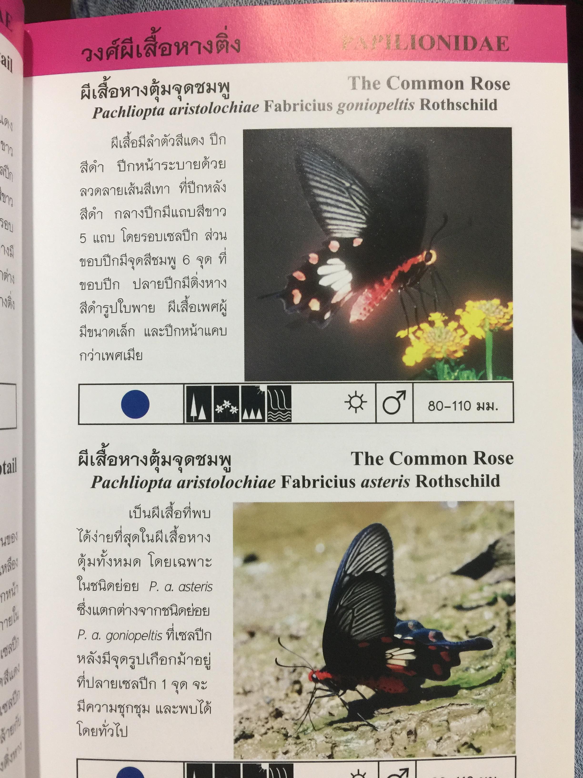 บันทึกผีเสื้อ 2. BUTTERFLIES AND SKIPPERS จัดทำโดย สำนักวิจัยการอนุรักษ์ป่าไม้และพันธุ์พืช กรมอุทยานแห่งชาติ สัตว์ป่าและพันธุ์พืช 0 กก.