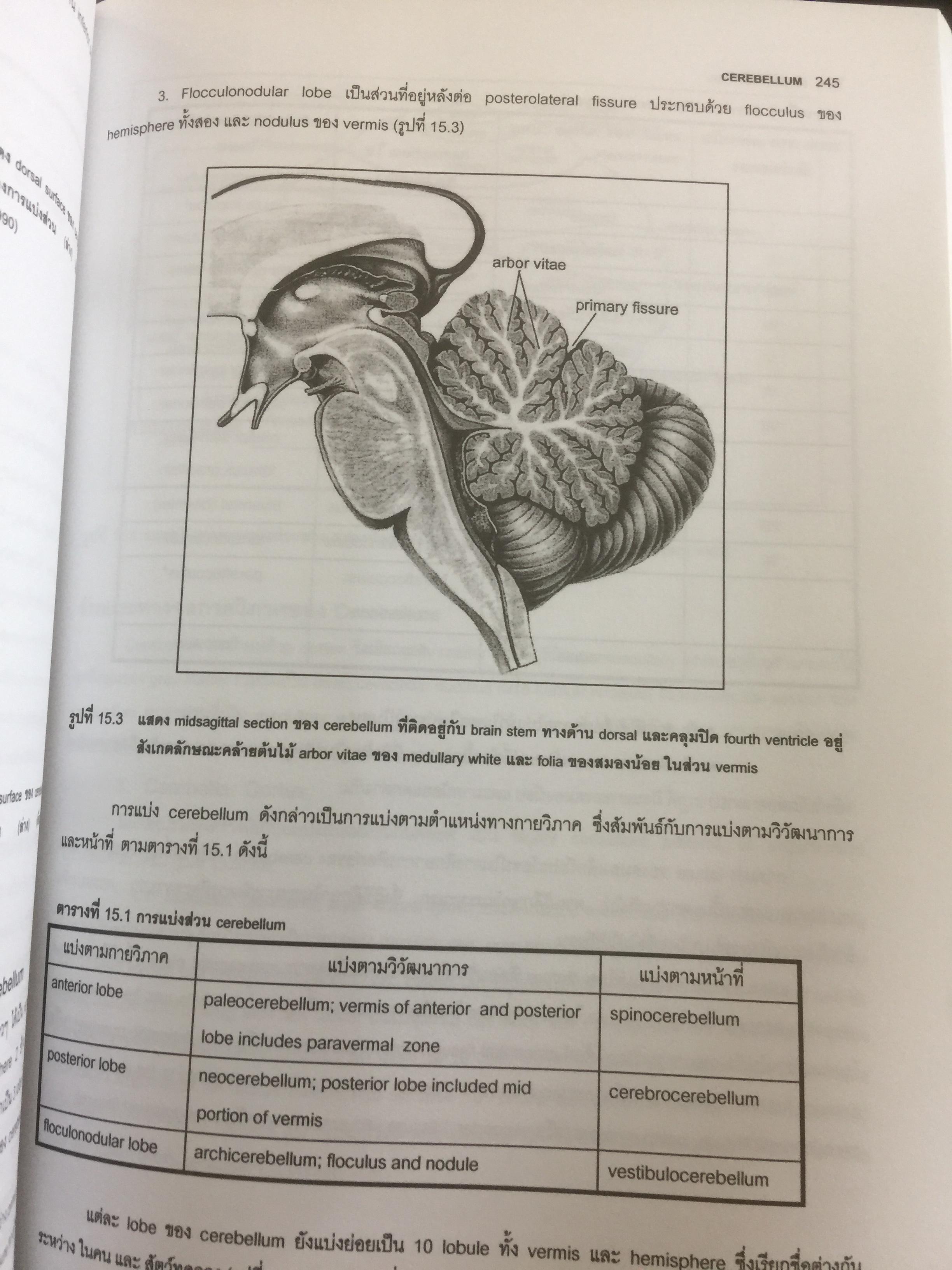 ตำราประสาทกายวิภาคศาสตร์ บรรณาธิการ เกรียงไกร อุรุโสภณ เรียบเรียงโดย คณาจารย์ภาควิชากายวิภาคศาสตร์ คณะแพทย์ศาสตร์ศิริราชพยาบาล 0 กก.