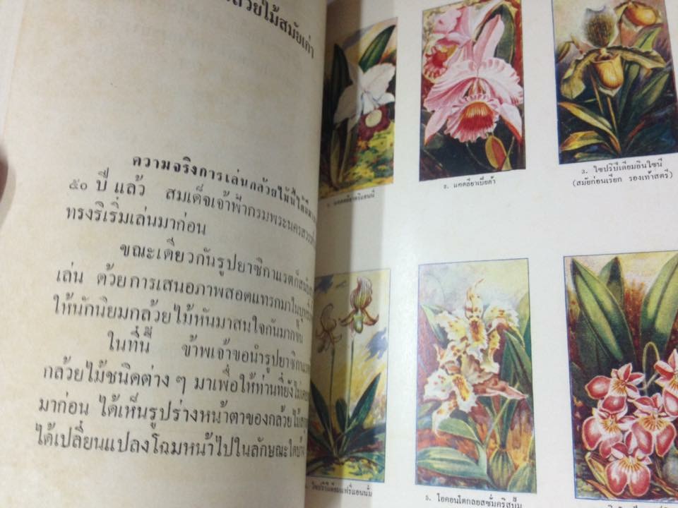 สยามยุคเก่า