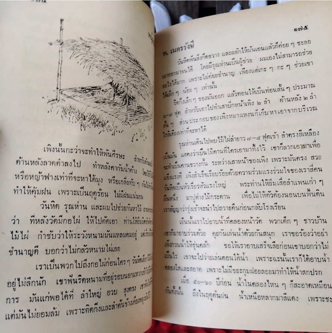 หนุ่มนักเรียน โดย พ.เนตรรังษี ภาคต่อของของเด็กบ้านสวน มือ1 วรรณกรรมชีวิตนักเรียนไทยปี 2460