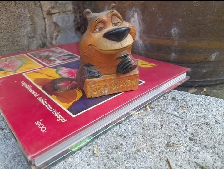 ตะลุยดงบอน รวมรูปสีธรรมชาติกว่าร้อยรูป