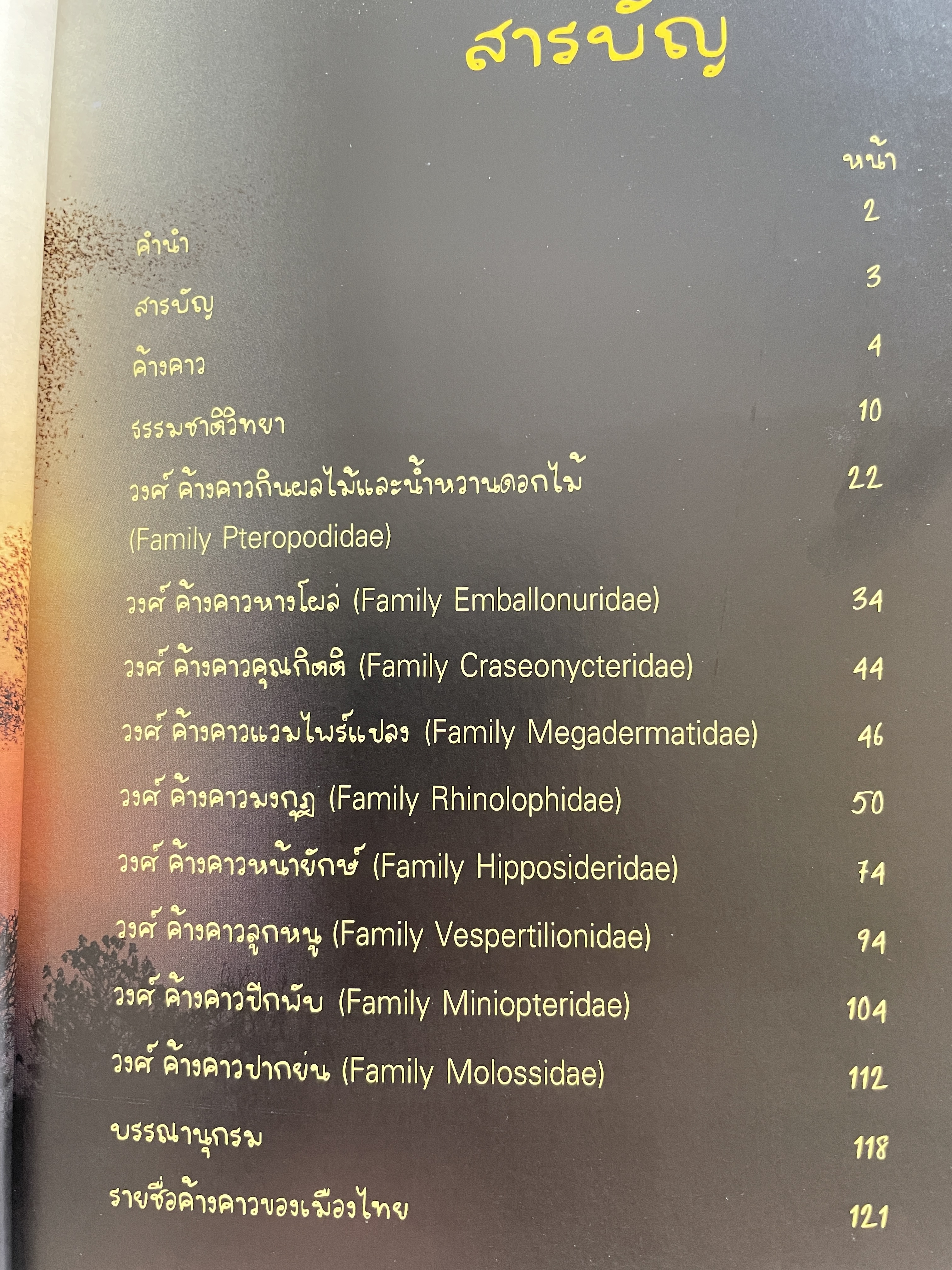 ค้างคาว ในถ้ำของเมืองไทย Cave-Dwelling Bats of. Thailand. จัดทำโดย กลุ่มงานวิจัยสัตว์ป่า สำนักอนุรักษ์สัตว์ป่า กรมอุทยานแห่งชาติ สัตว์ป่า และพันธุ์พืช 1,500 กรัม