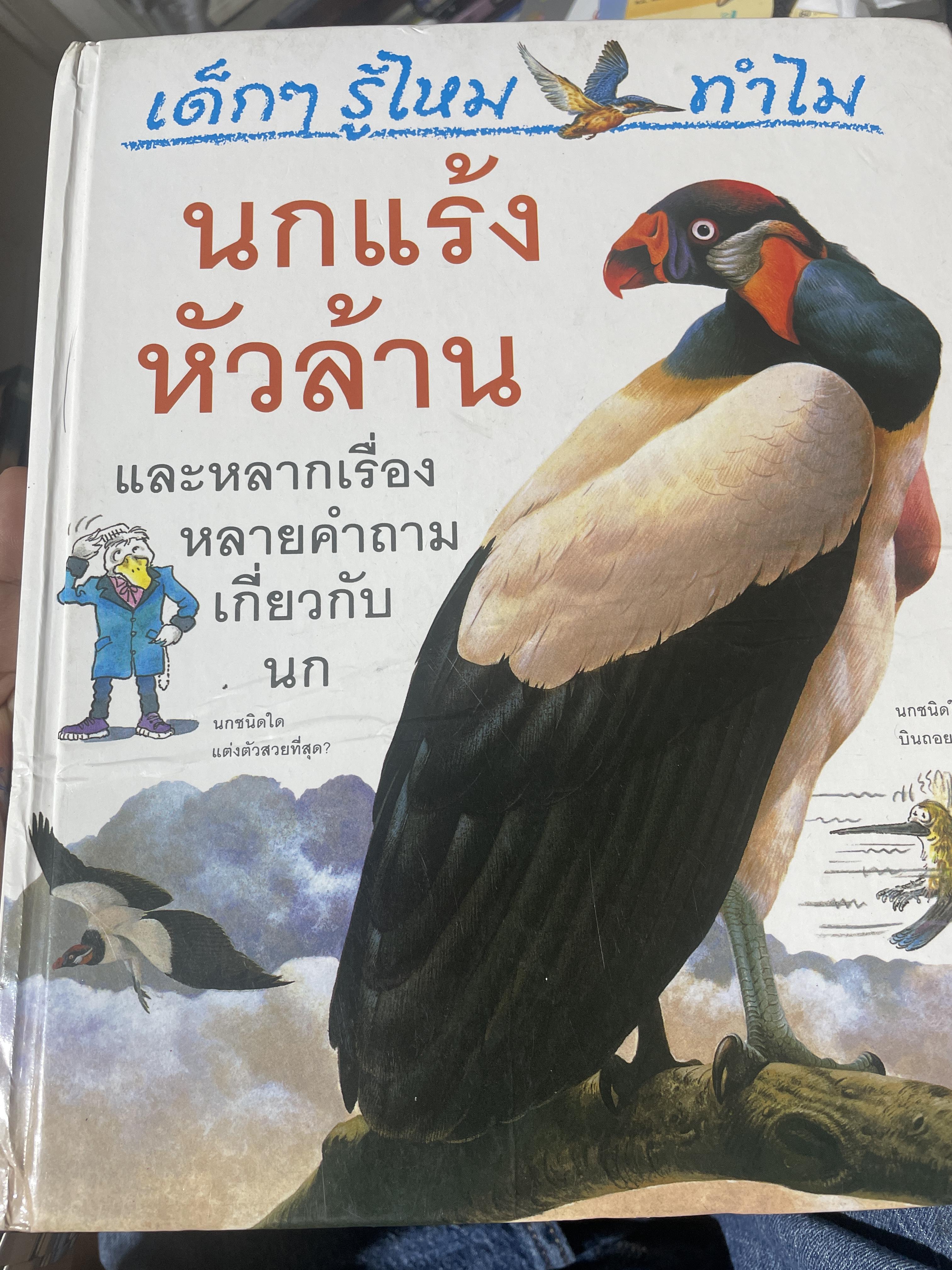 นกแร้งหัวล้าน และหลากเรื่องหลายคำถามกี่ยวกับนก 1,500 กรัม