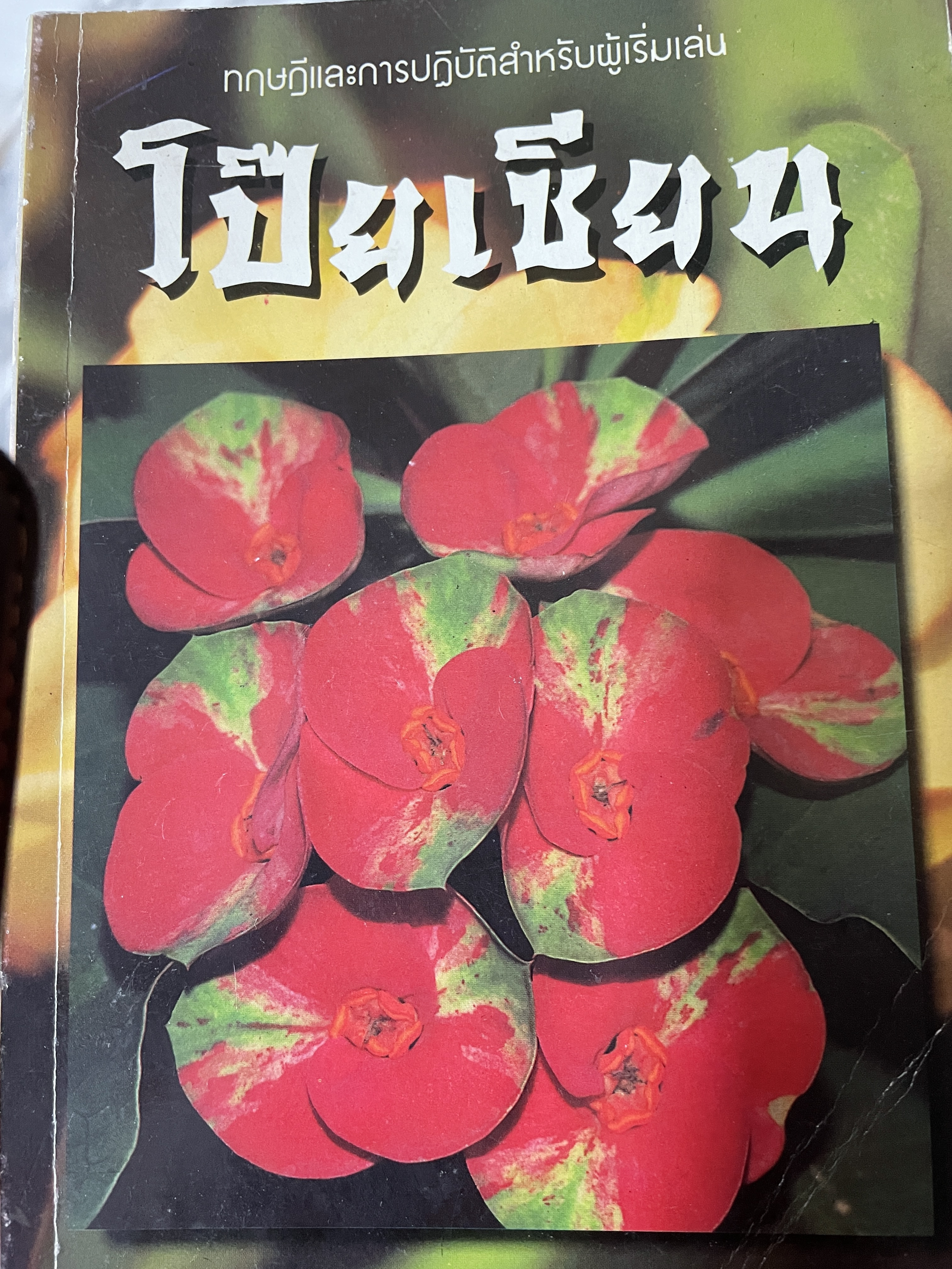 โป๊ยเซียน ทฤษฎีและการปฎิบัติสำหรับผู้เริ่มเล่นโป๊ยเซียน จัดทำโดยกองบรรณาธิการนิตรสารเกษตรพัฒนา 0 กก.