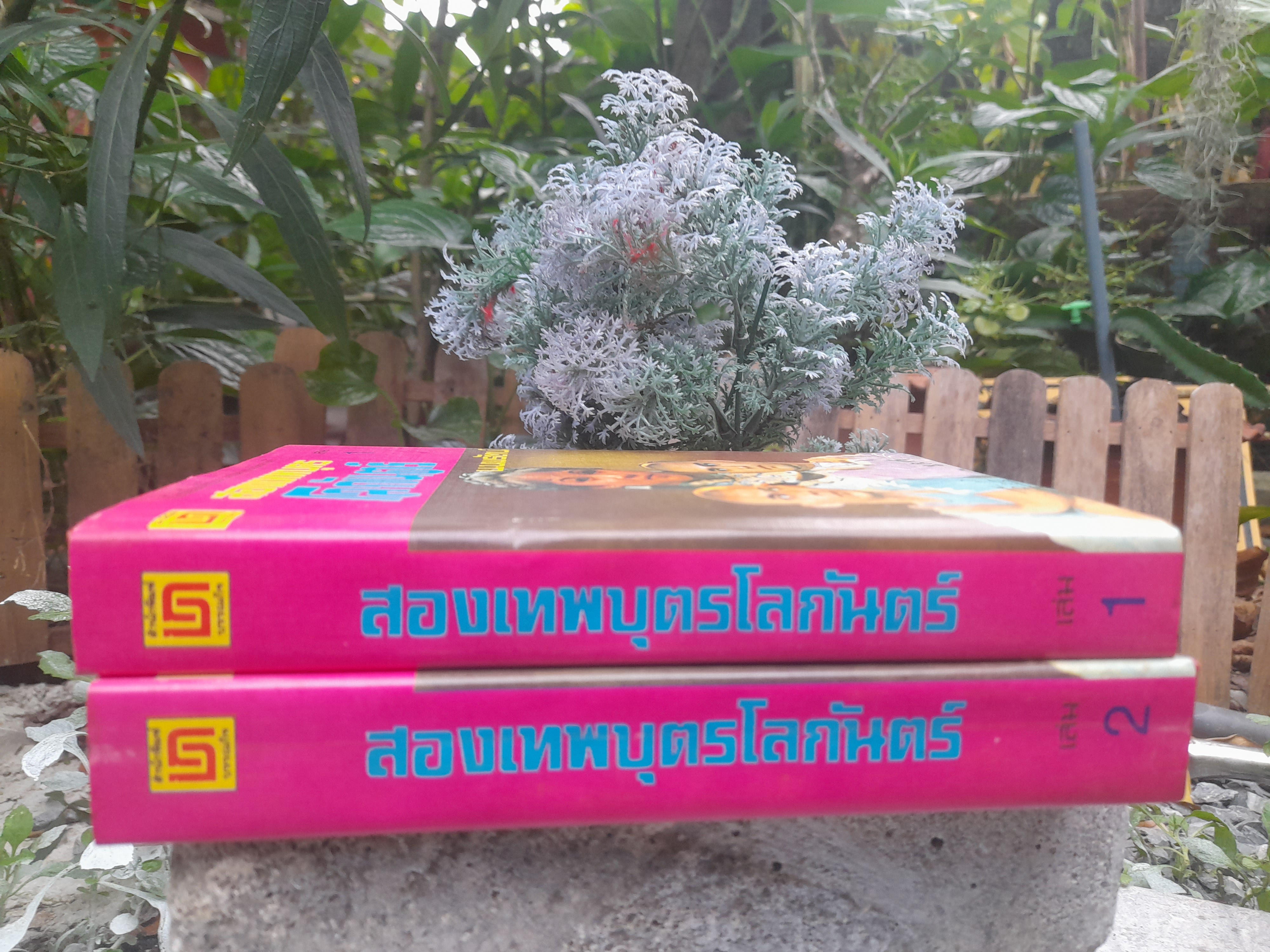 สองเทพบุตรโลกันตร์ จำนวน 2 เล่มจบ โดย น.นพรัตน์