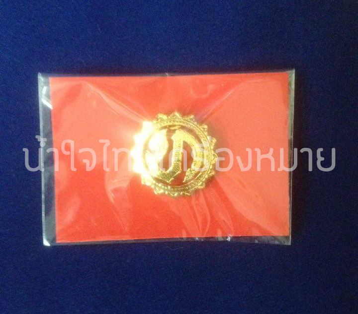 เข็ม เทศบาล ชาย/หญิง