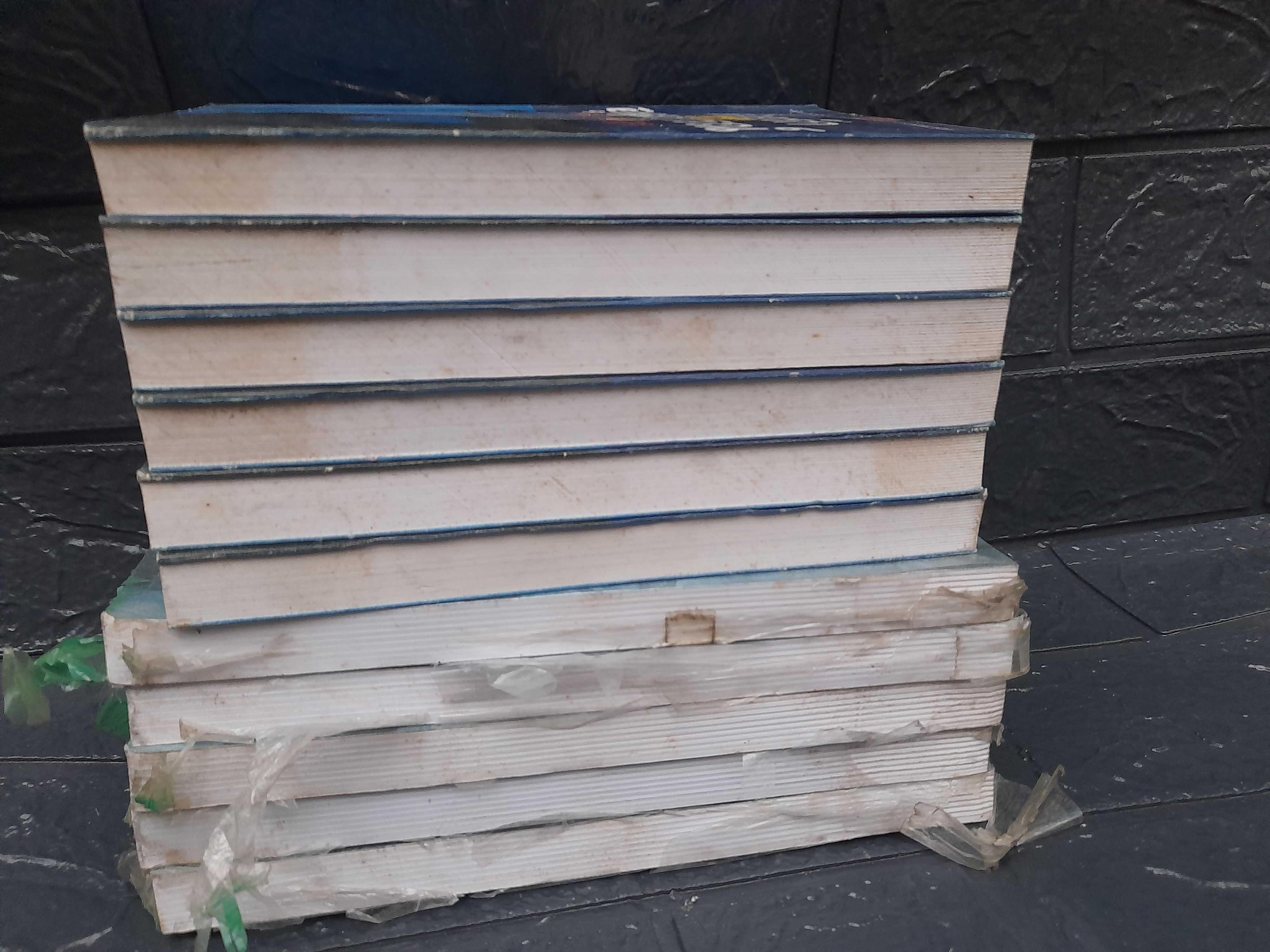 ด้วยรักแห่งอุดมการณ์