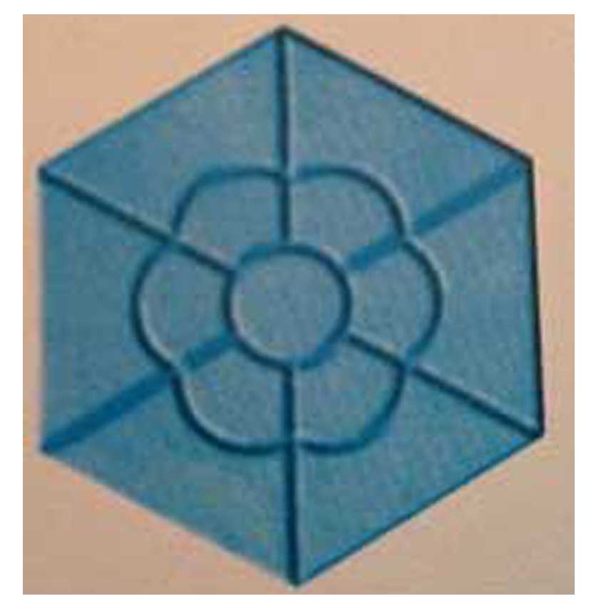 แม่พิมพ์ทางเดิน diy ขนาด 28x23x5 cm ลายดอกไม้ 6 เหลี่ยม