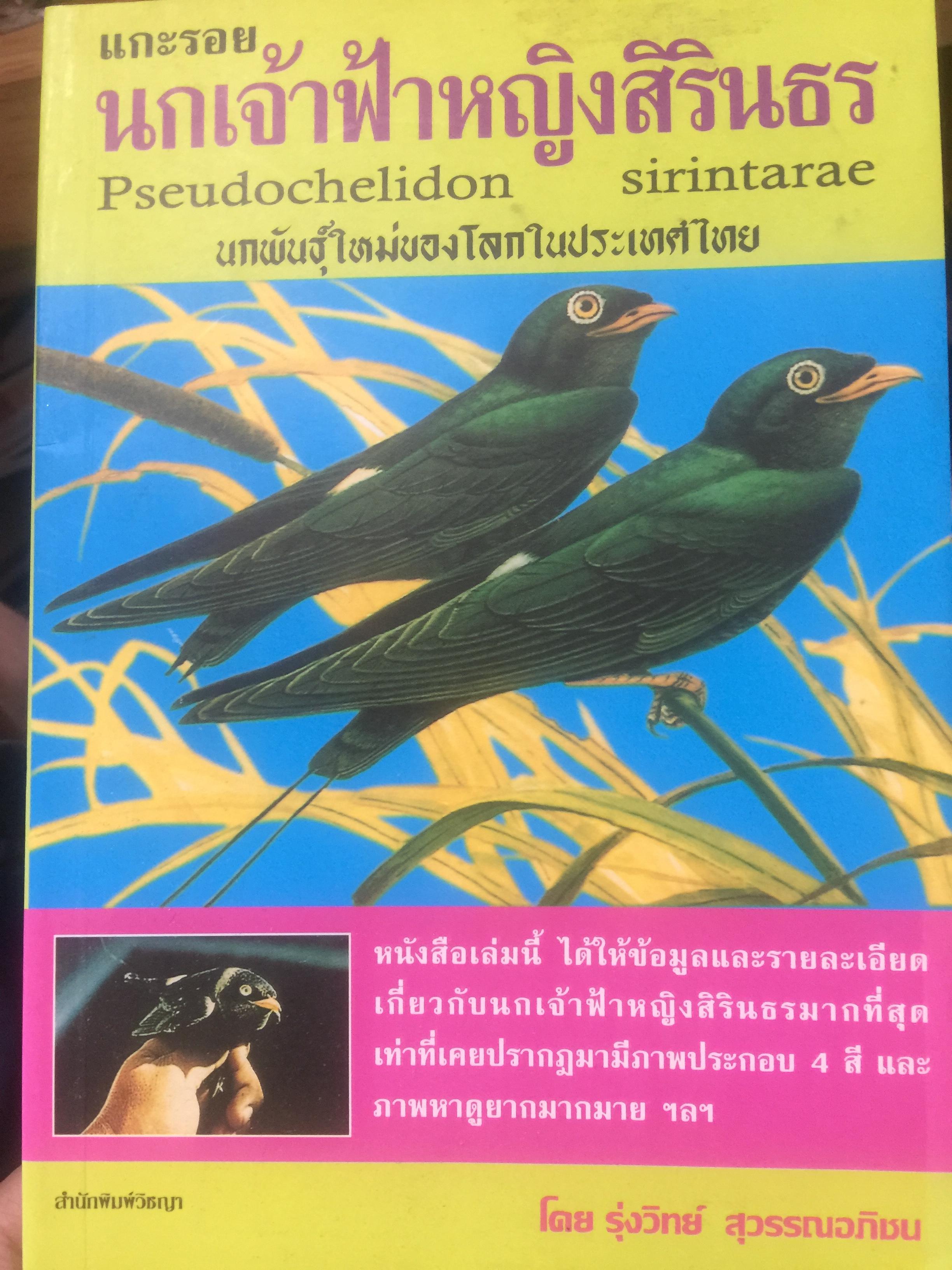แกะรอย นกเจ้าฟ้าหญิงสิรินธร. Pseudo helicon sirintarae. นกพันธุ์ใหม่ของโลกในประเทศไทย 500 กรัม