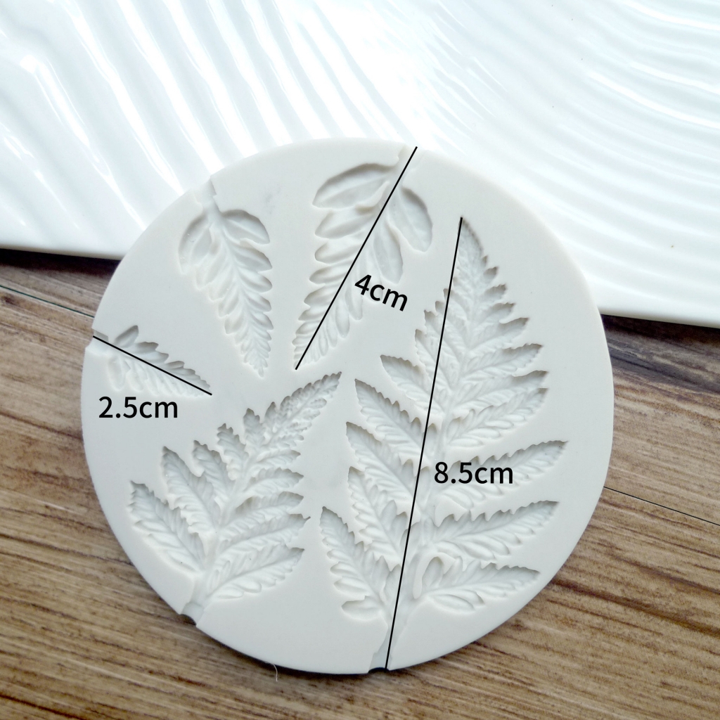 พิมพ์ฟองดอง ใบ...เฟิร์น...............