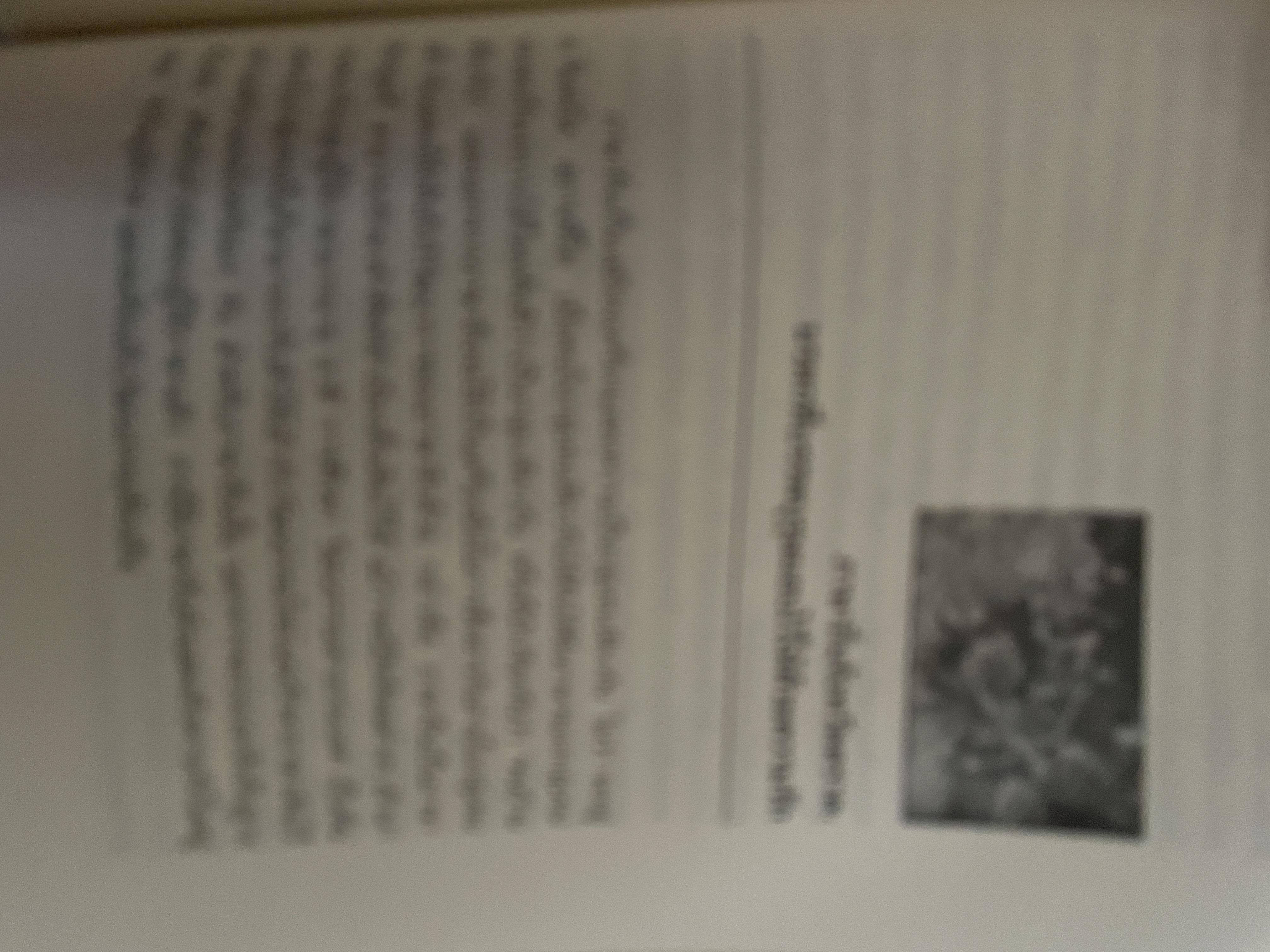 เล่าเรื่อง เมืองตราษบุรี ผู้เขียน อภิลักษณ์ เกษมผลดูล คณะสังคมศาสตร์ มหาวิทยาลัยมหิดล จัดพิมพ์เผยแพร่ ปี 2662 500 กรัม