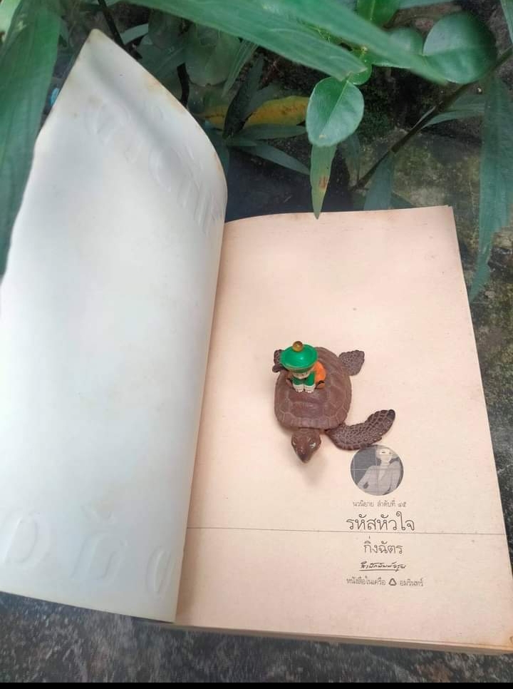 รหัสหัวใจ โดย กิ่งฉัตร