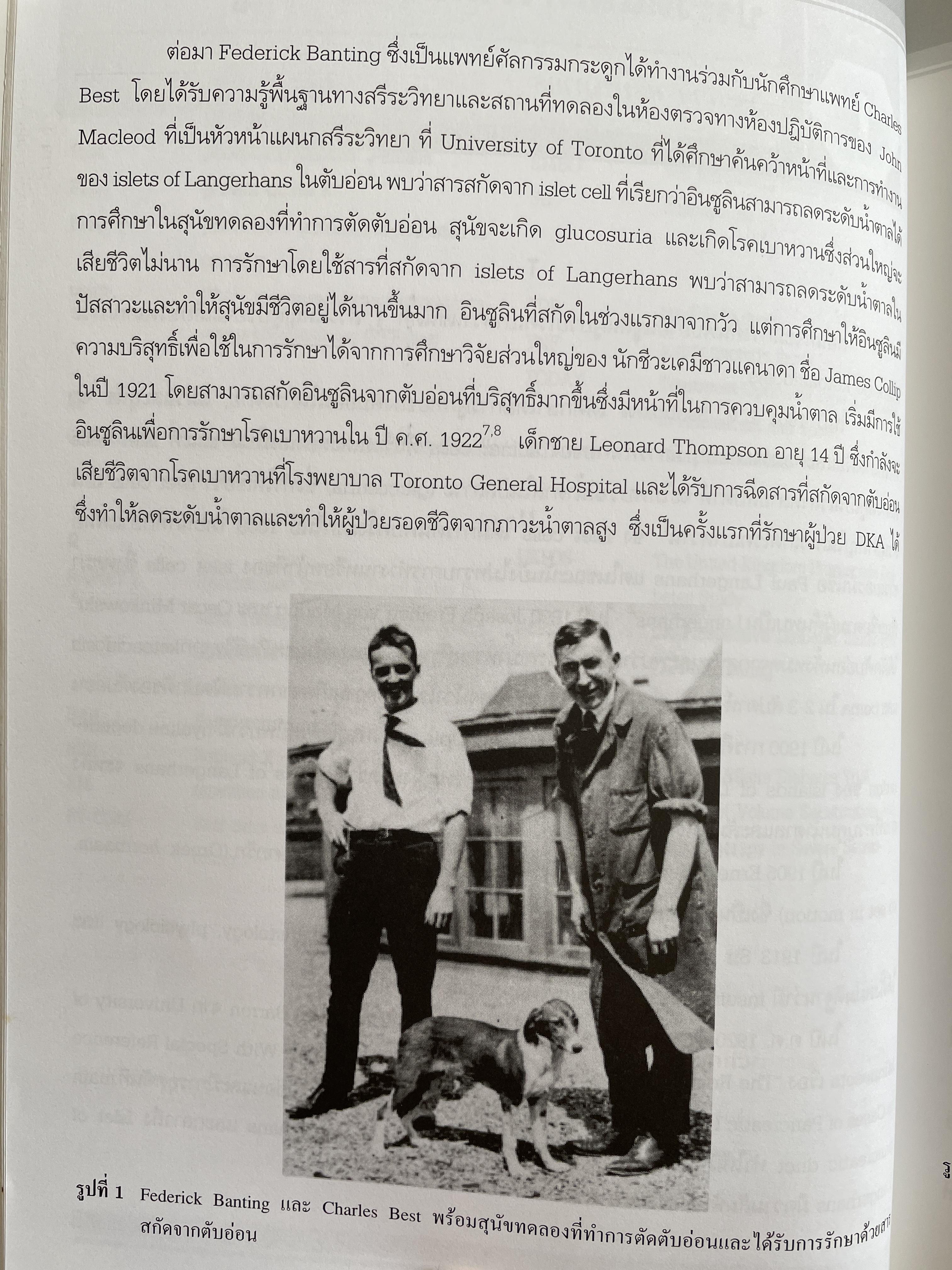 ตำราอินซูลิน (INSULIN) 0 กก.