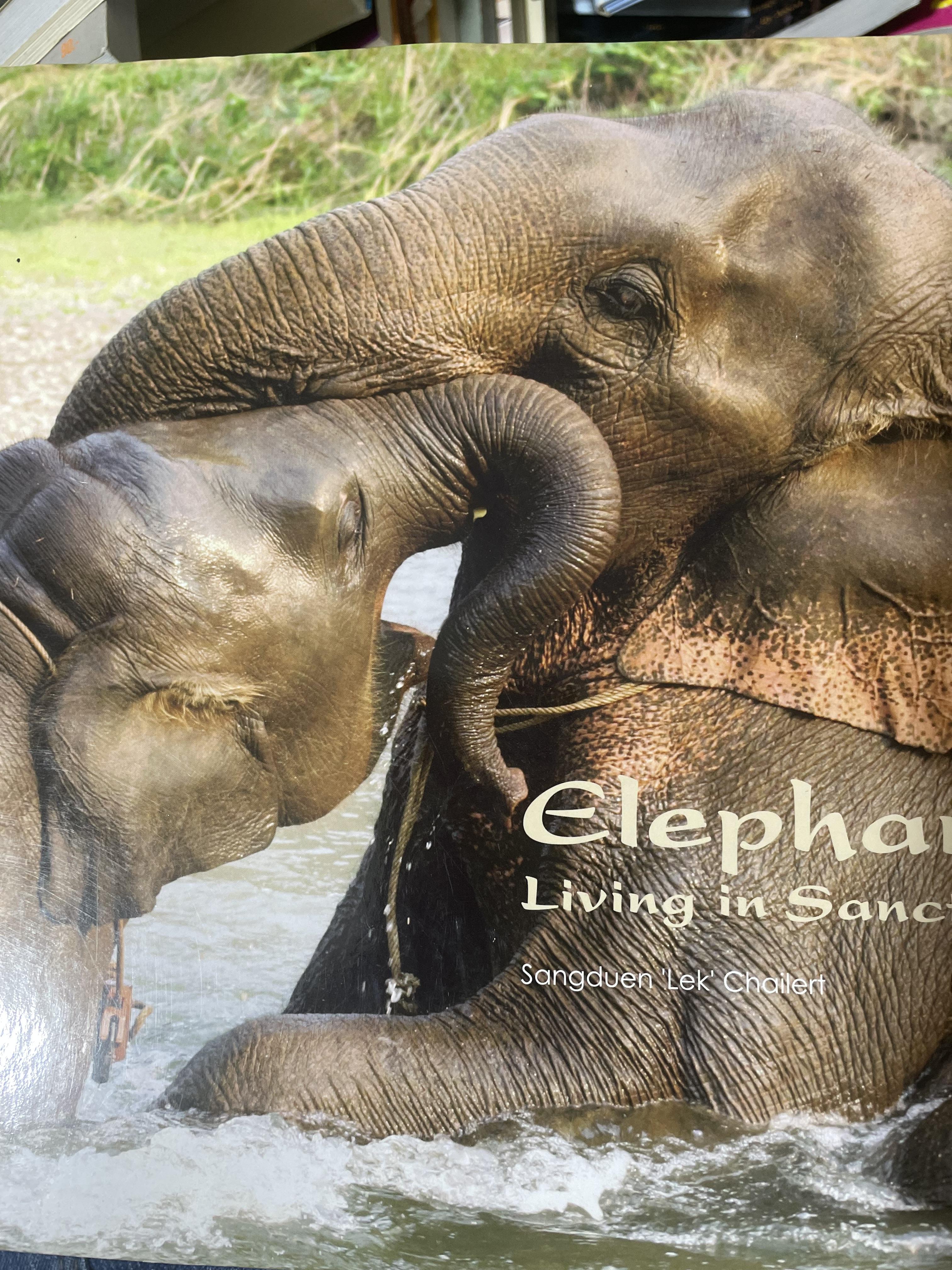 Elephants Living in Sanctuary 3 กก.