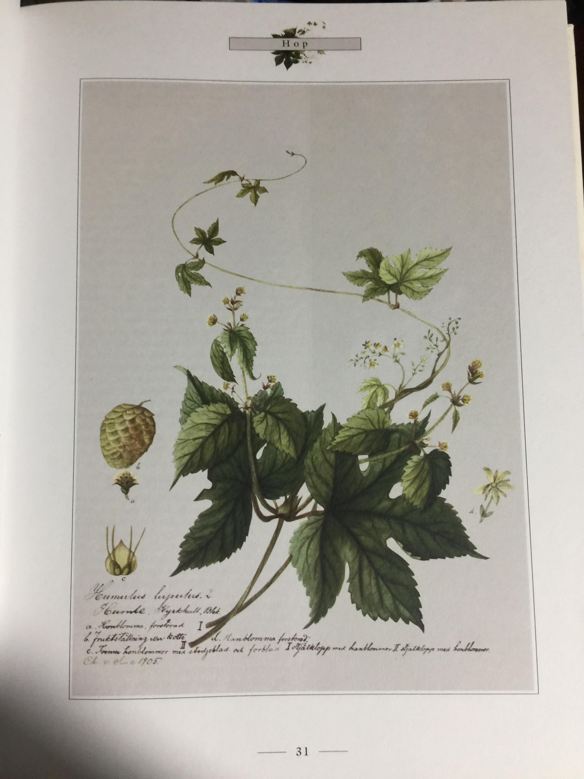 THE LORE OF LORE SPICES. Their history nature and uses around the world ผู้เขียน J.O. SWAHN. 0 กก.