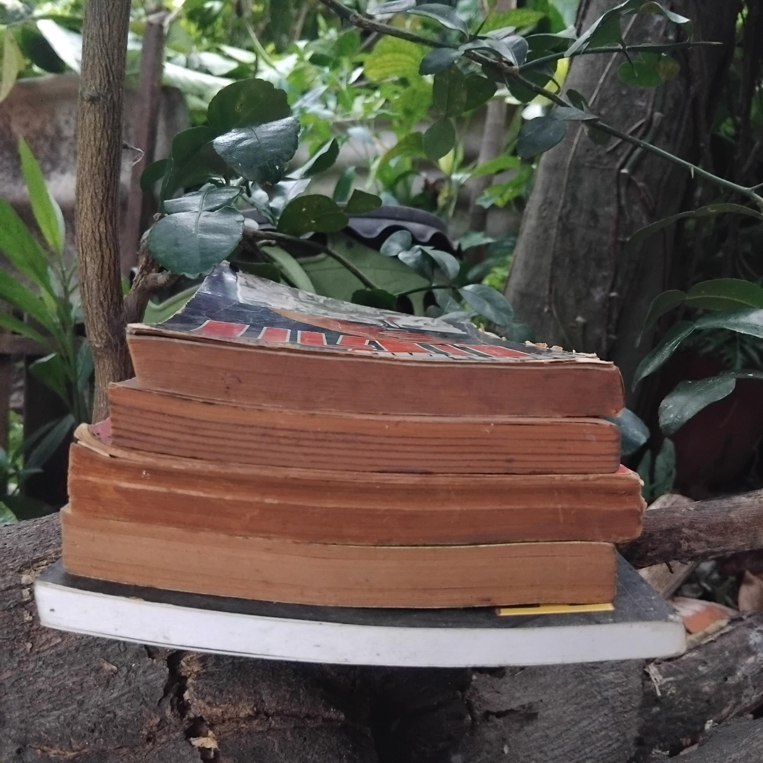 รวมหนังสือแนวสงคราม การเมือง ความขัดแย้ง ทั้งในและต่างประเทศ จำนวน 5 เล่มครับผม