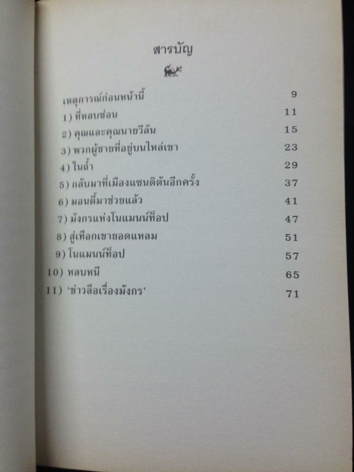 วีรบุรุษมังกรน้อย DRAGON HERO