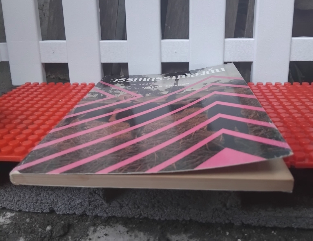 วรรณกรรมท้องถิ่น โดย บุญเกิด รัตนแสง หนังสือสรุปเนื้อหาและตัวอย่างข้อสอบ มือ1