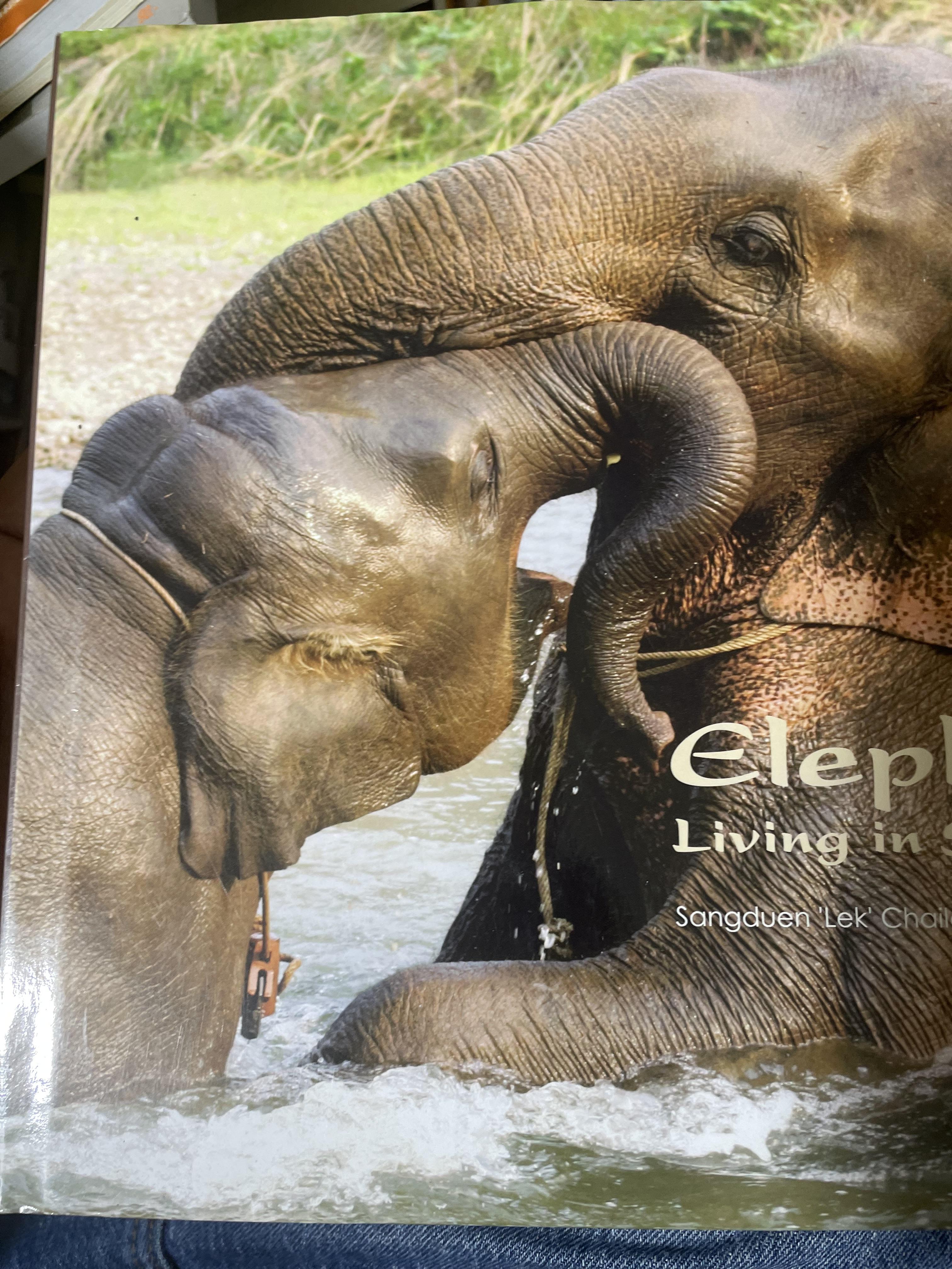 Elephants Living in Sanctuary 3 กก.