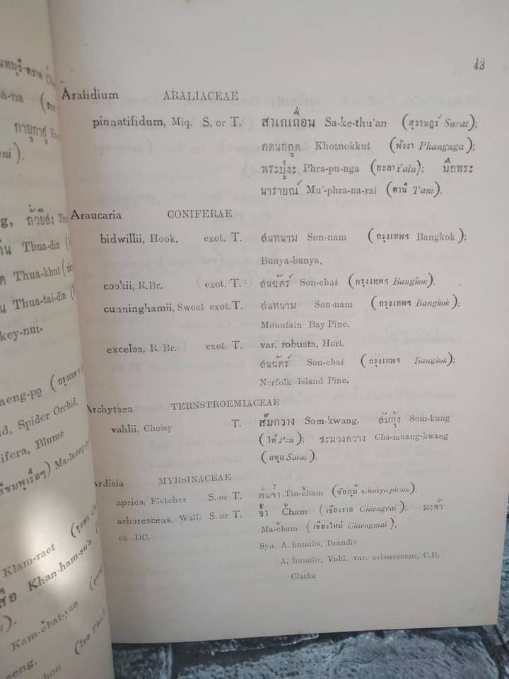 พรรณไม้แห่งประเทศไทย ชื่อพฤกษศาสตร์-ชื่อพื้นเมือง