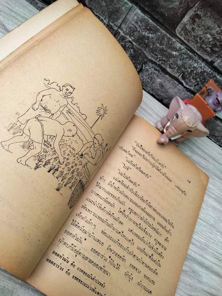 เด็กบ้านทุ่ง เรื่องราวของชีวิตเด็กชนบท