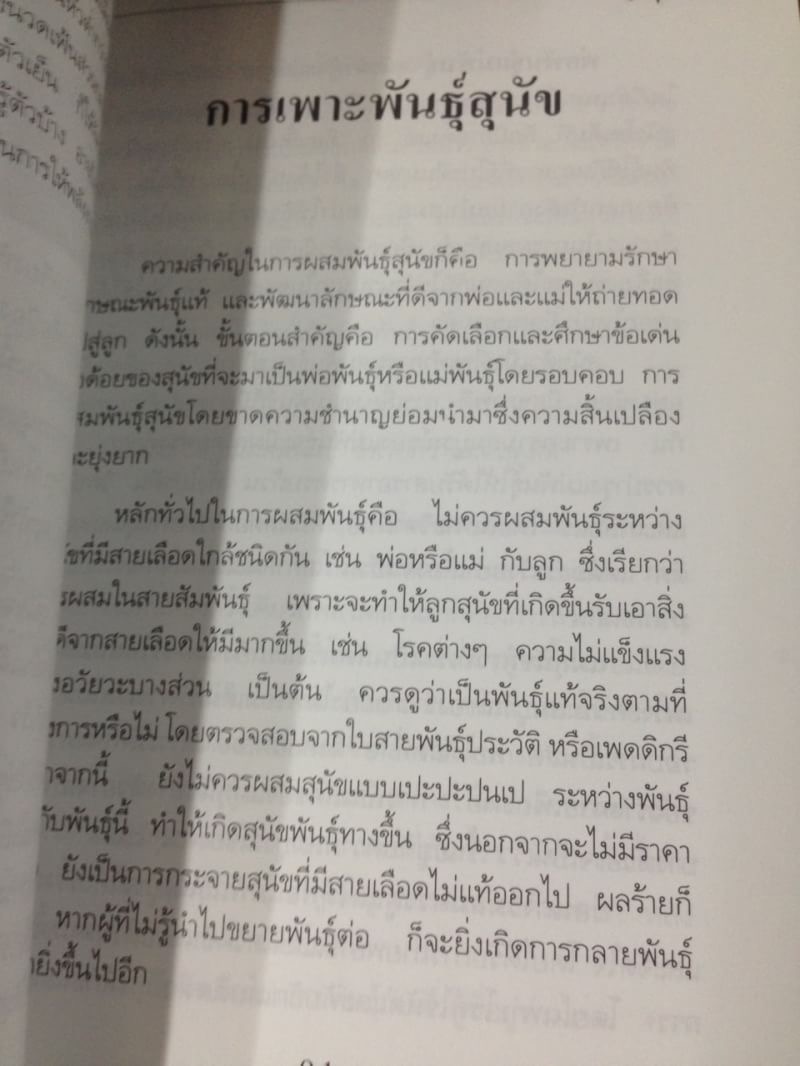 คู่มือการเล่้ยงสุนัข บ็อกเซอร์