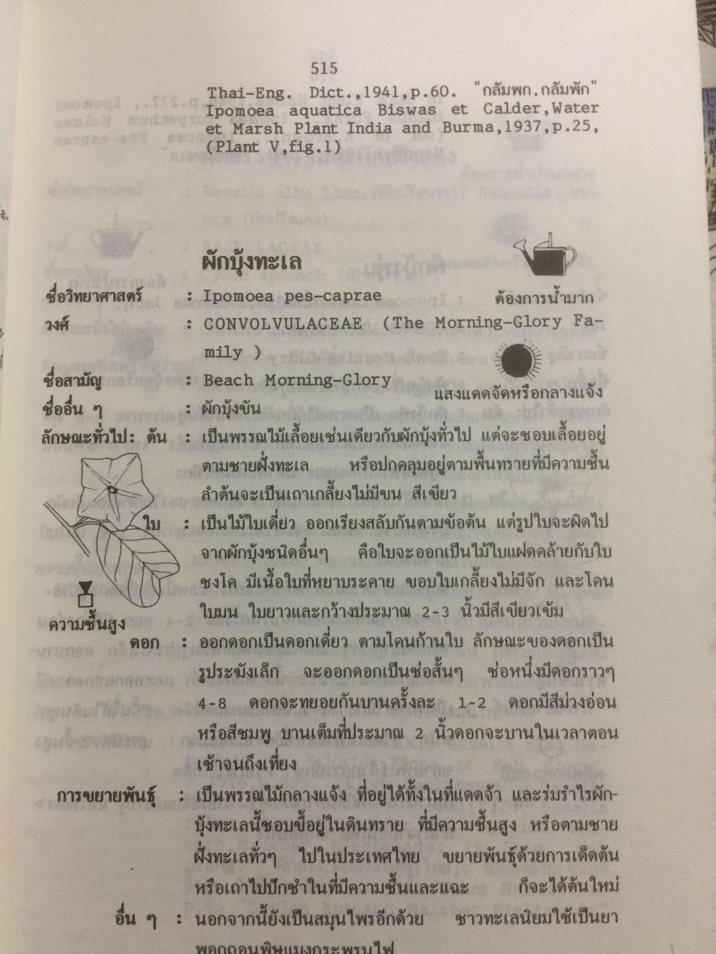 พจนานุกรม ไม้ดอกไม้ประดับในประเทศไทย. ผู้เขียน ดร.วิทย์ เที่ยงบูรณธรรม 0 กก.