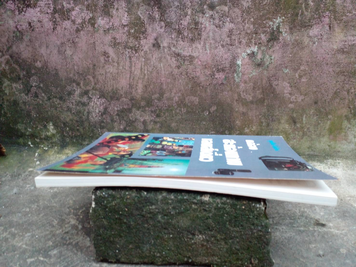 หนังสือกล้องสะท้อนภาพเลนส์เดี่ยว โดย สุรสีห์ ฉิ่งถิน