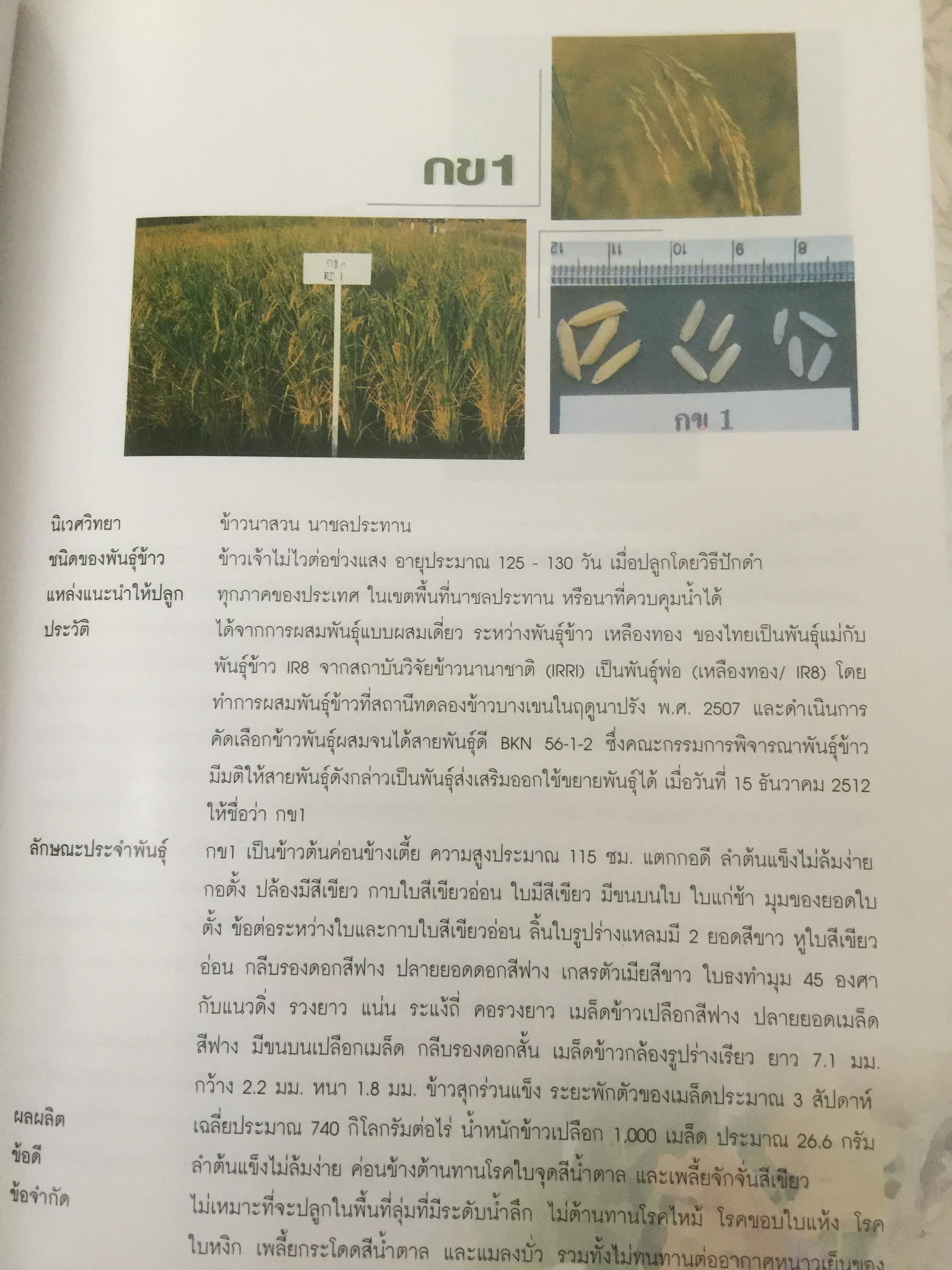 วิวัฒนาการพันธุ์ข้าวไทย. สถาบันวิจัยข้าวไทย กรมวิชาการเกษตร 0 กก.