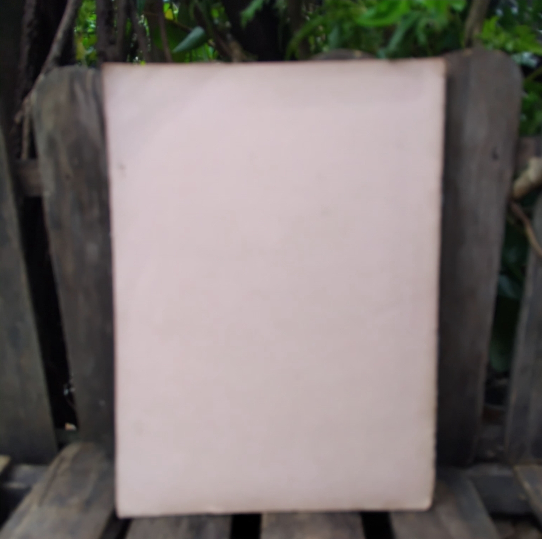 การบรรยายเรื่อง ภาพการ์ตูน โดย ประยูร จรรยาวงษ์ ฉายา ราชาการ์ตูนไทย สภาพดีมากครับ