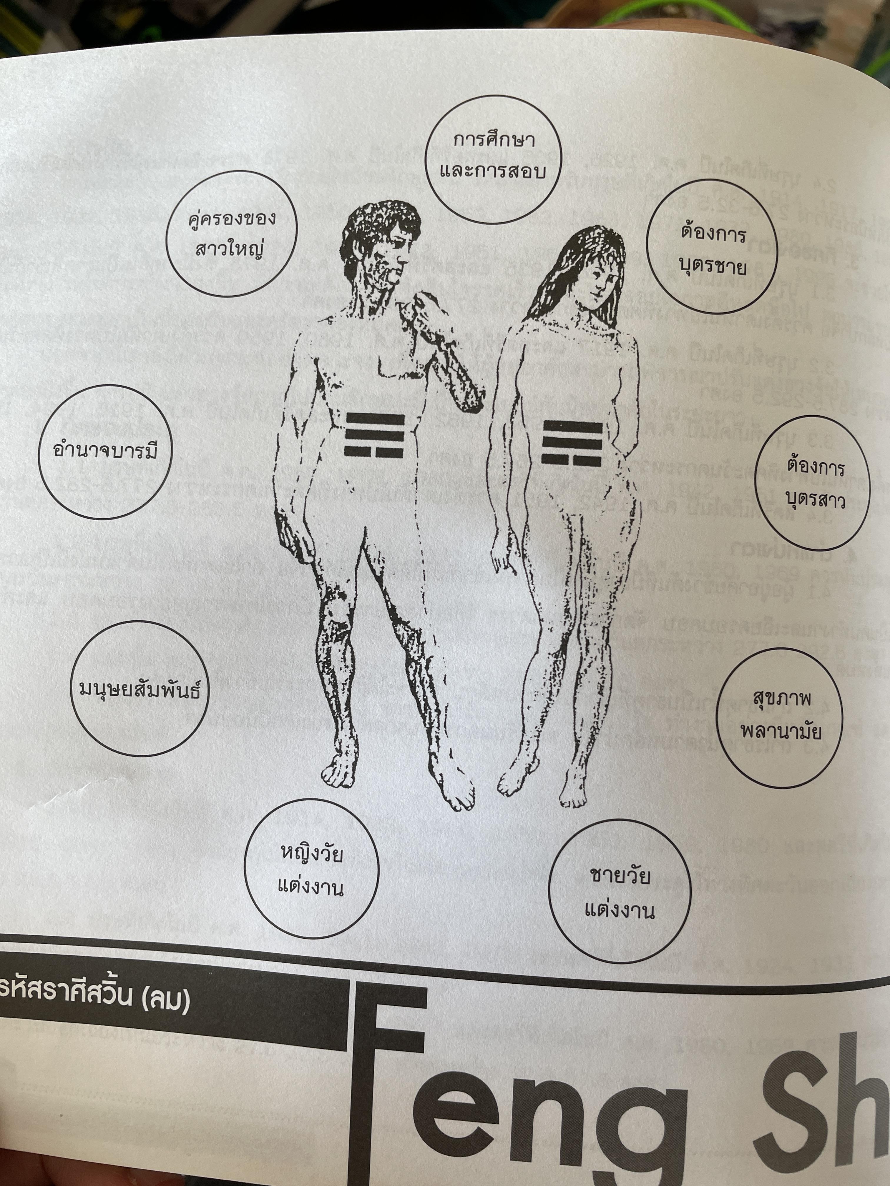 ฮวงจุ้ย ฉบับสมบูรณ์ ศาสตร์แห่งความสำเร็จ การออกแบบฮวงจุ้ยบ้าน เพื่อความสำเร็จในชีวิต CHINESE GEOMANCY. พลิกโชคชะตาให้ดีขึ้นจากคู่มือที่สามารถทำได้ด้วยตนเอง ผู้เขียน หลี่เหยินซุยและคณะ 1,800 กรัม