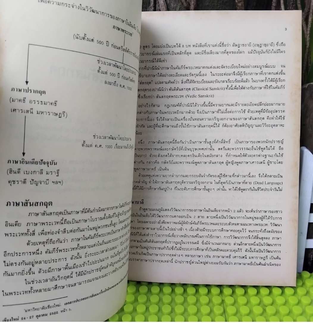 บาลี-สันสกฤต ที่เกี่ยวกับภาษาไทย โดย ปรีชา ทิชินพงษ์ รู้ลึกกับภาษาที่มีอิทธิพลกับภาษาไทยมากที่สุด มือ1
