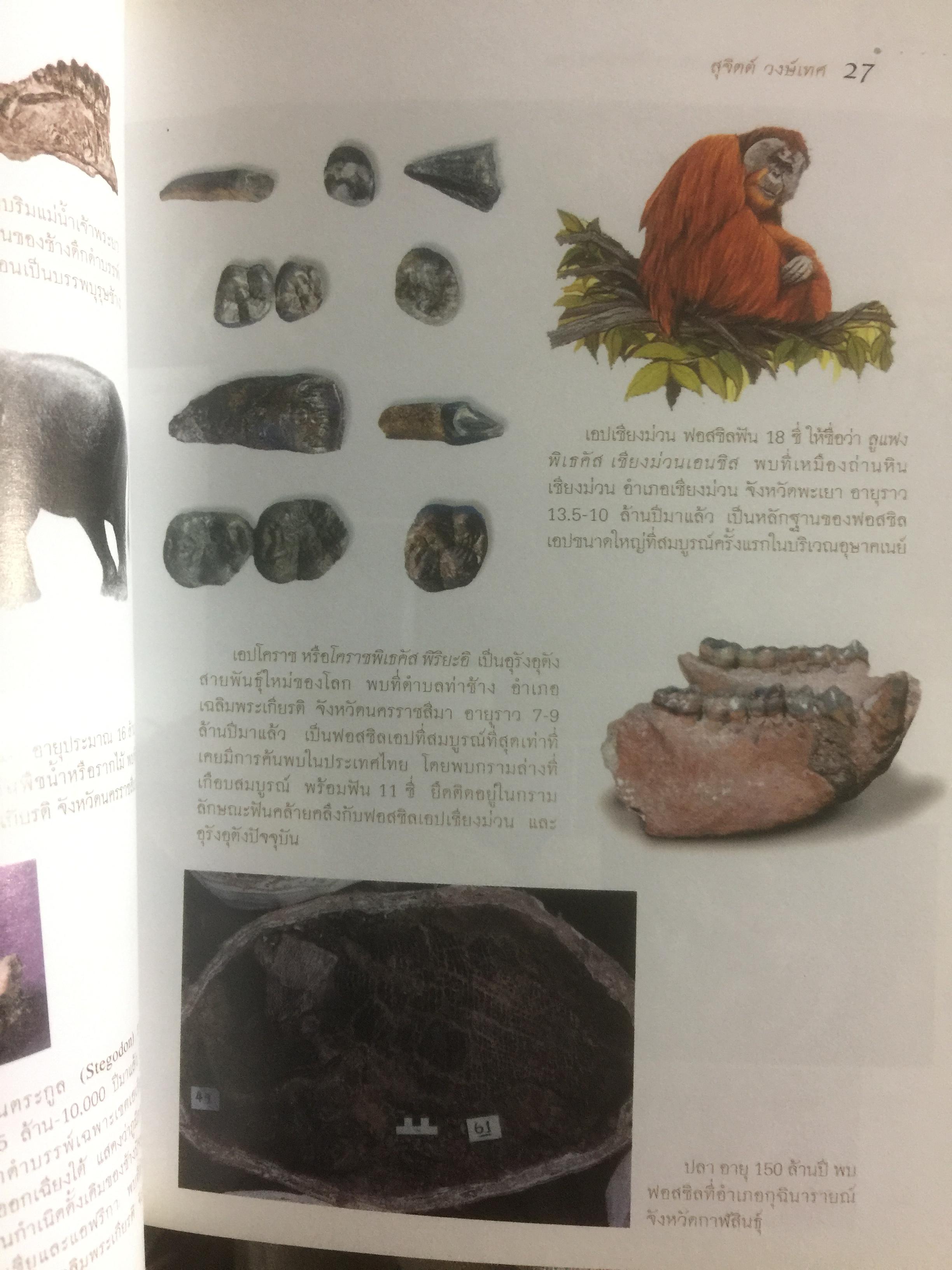 สุวรรฯภูมิ ต้นกระแสประวัติศาสตร์ไทย. เป็นหนังสือชุดศิลปวัฒนธรรมฉบับพิเศษ ผู้เขียน สุจิตต์ วงษ์เทศ 0 กก.