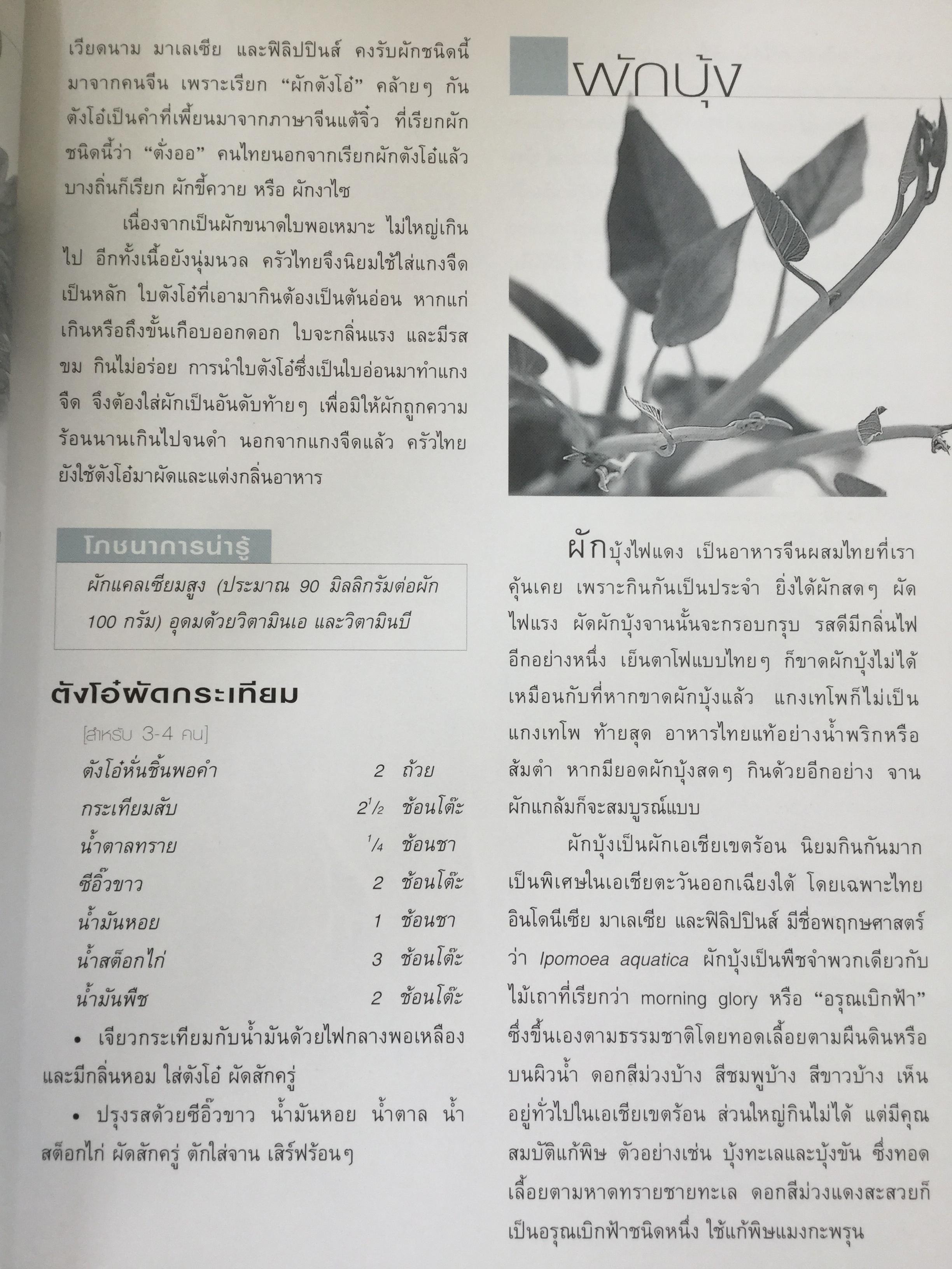 สารานุกรม ผัก เรื่องวัฒนธรรม โภชนาการ และสูตรอาหารของผักนานาชนิด. ผู้เขียน ทวีทอง หงส์วิวัฒน์ 0 กก.