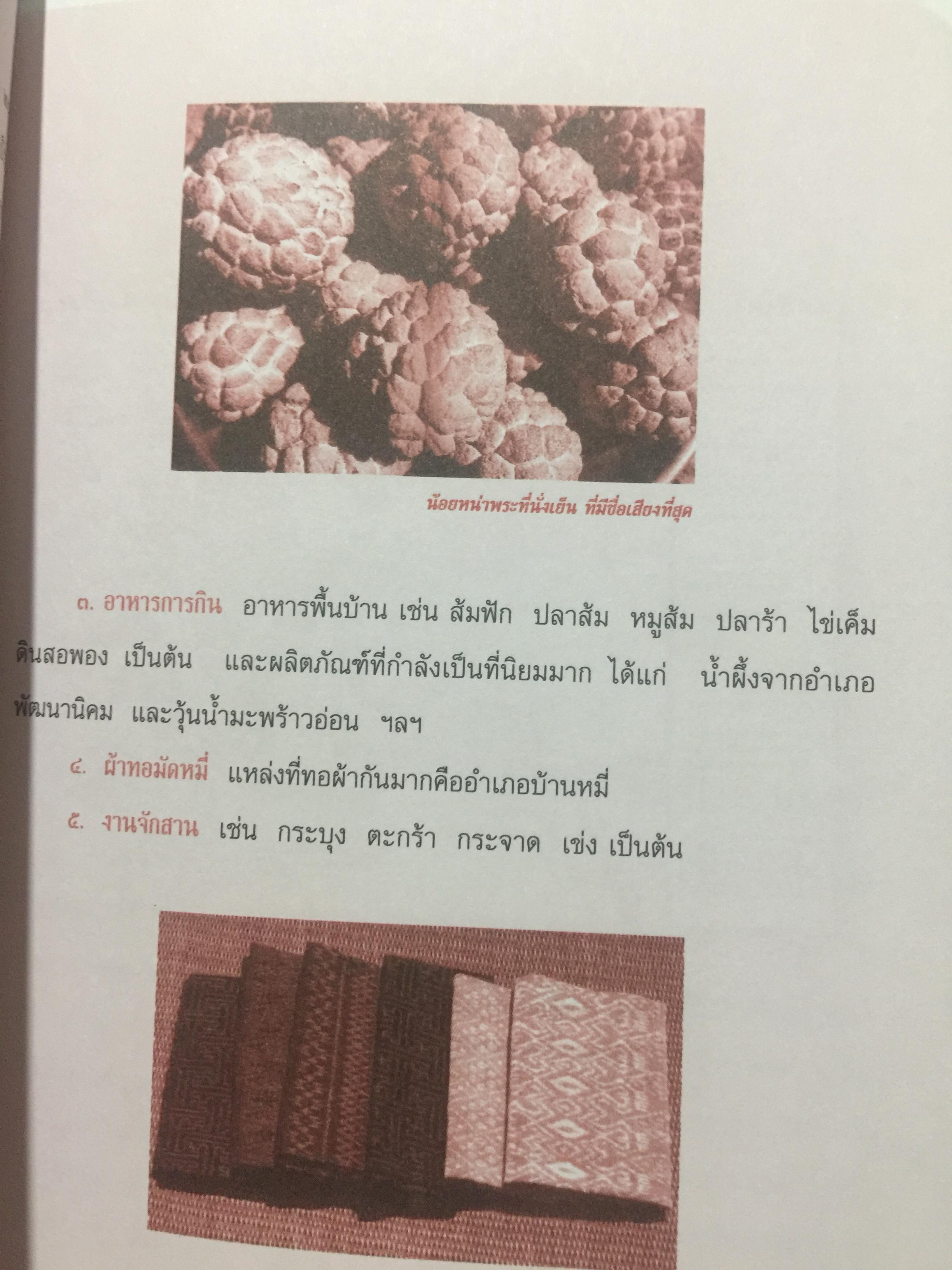 เมืองประวัติศาสตร์ ลพบุรี. เป็นหนังสือ คู่มือนำชมเมืองประวัติศาสตร์ลพบุรี จัดพิมพ์ โดยกรมศิลปากร 0 กก.
