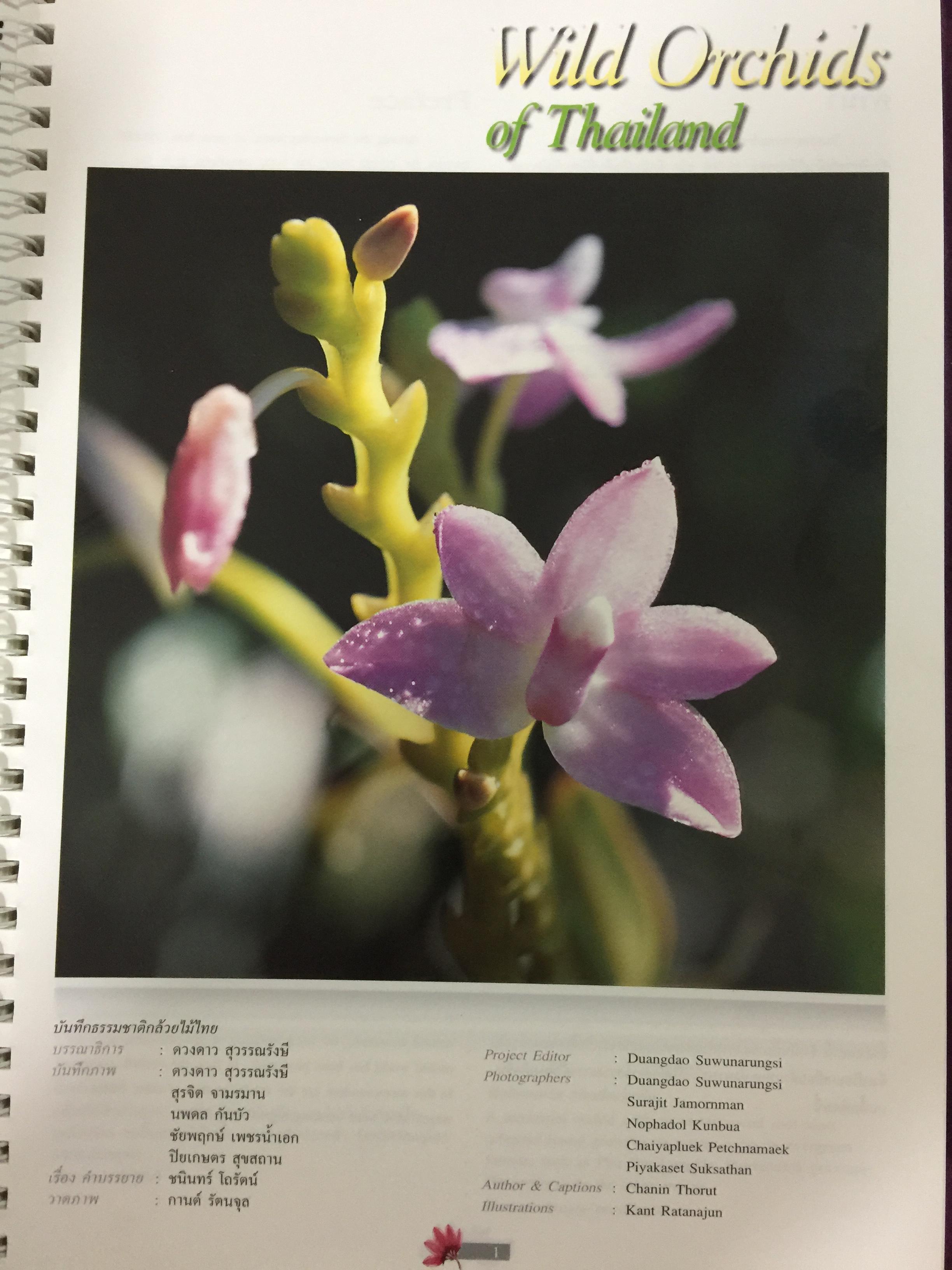 Wild Orchids of Thailand 0 กก.