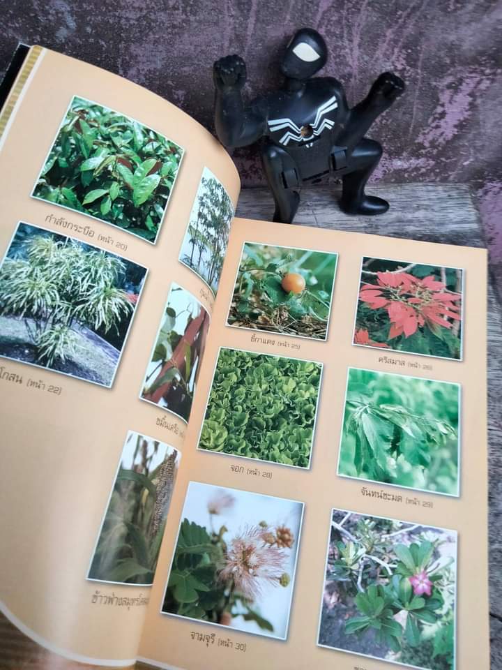 คู่มือฐานข้อมูลพืชพิษ พืชบางชนิดอาจมีพิษร้ายต่อชีวิตเพราะความรู้เท่าไม่ถึงการณ์ หนังสือสำคัญประจำบ้าน