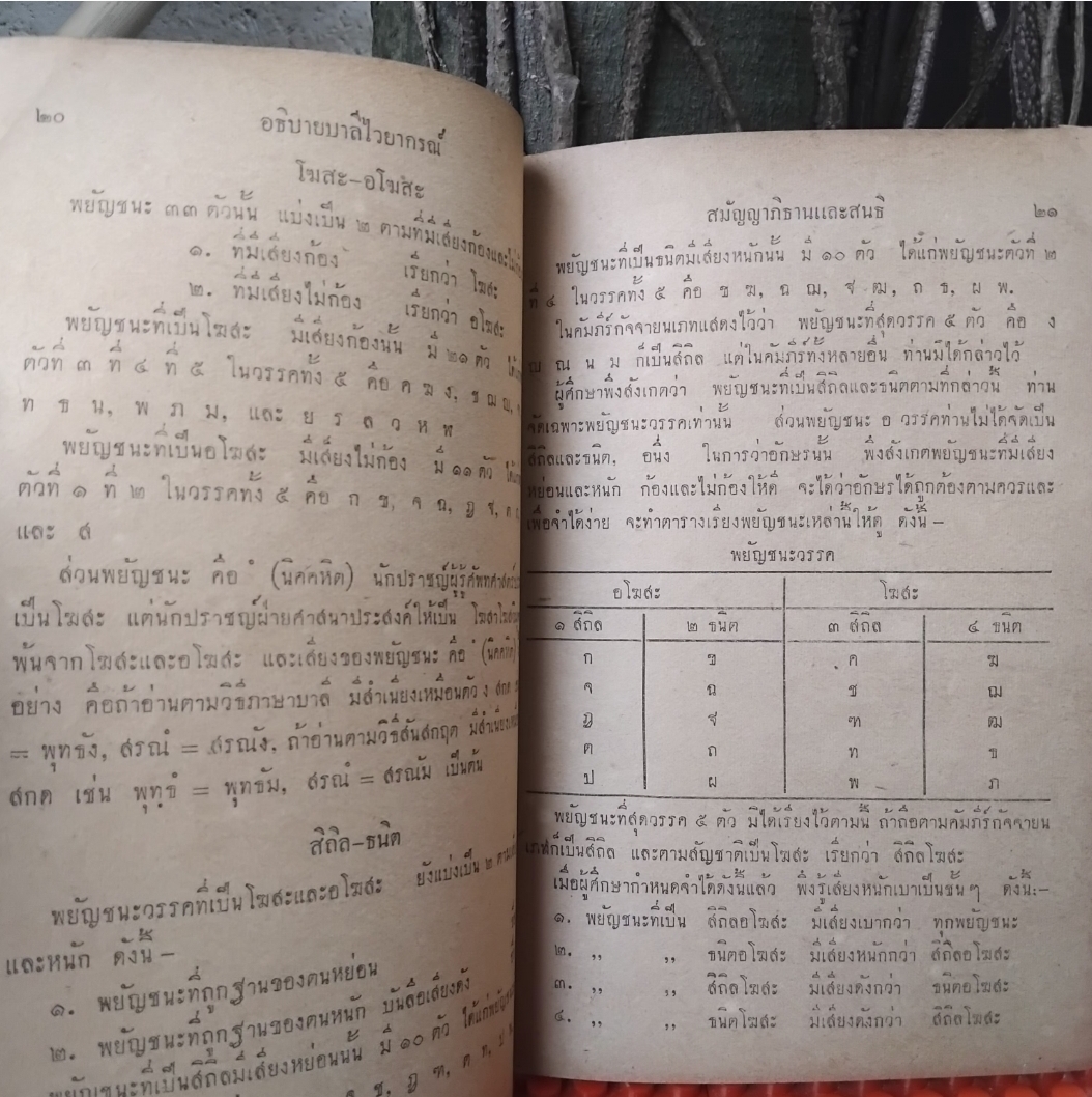 อธิบายบาลีไวยากรณ์ สมัญญาภิธานและสนธิ พร้อมทั้งปัญหาและเฉลย โดย เลิศ สมัครการ เปรียญเอก แห่งมหาธาตุวิทยาลัย