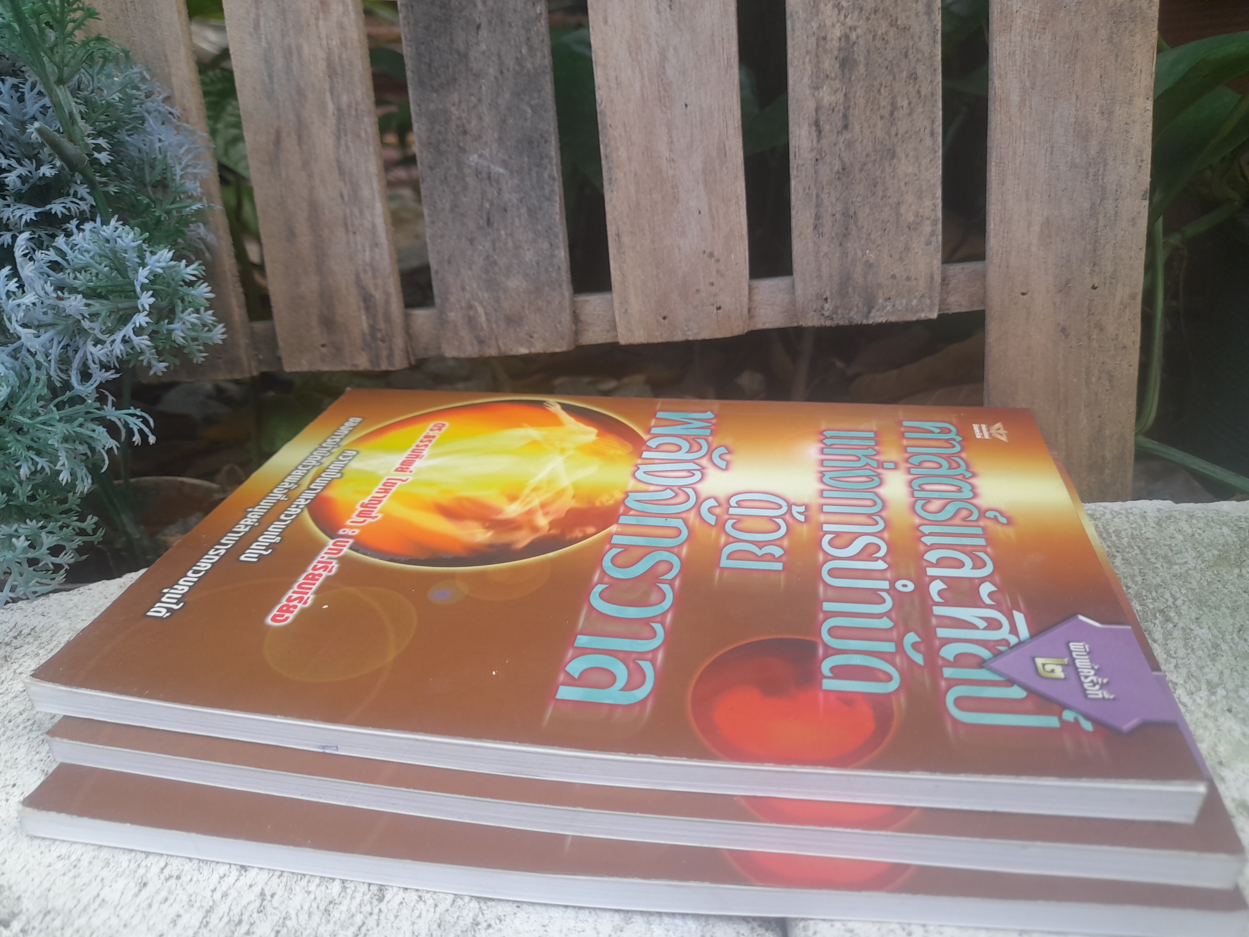 ศาสตร์และศิลป์ แห่งการบำบัด ด้วยพลังจักรวาล โดย : ดร.ธรรมทิพย์ ไขหาญฟ้า