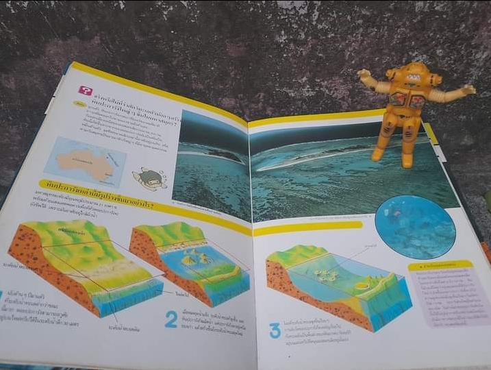 หนังสือชุดความรู้เบื้องต้นสำหรับเด็ก เล่มใหญ่