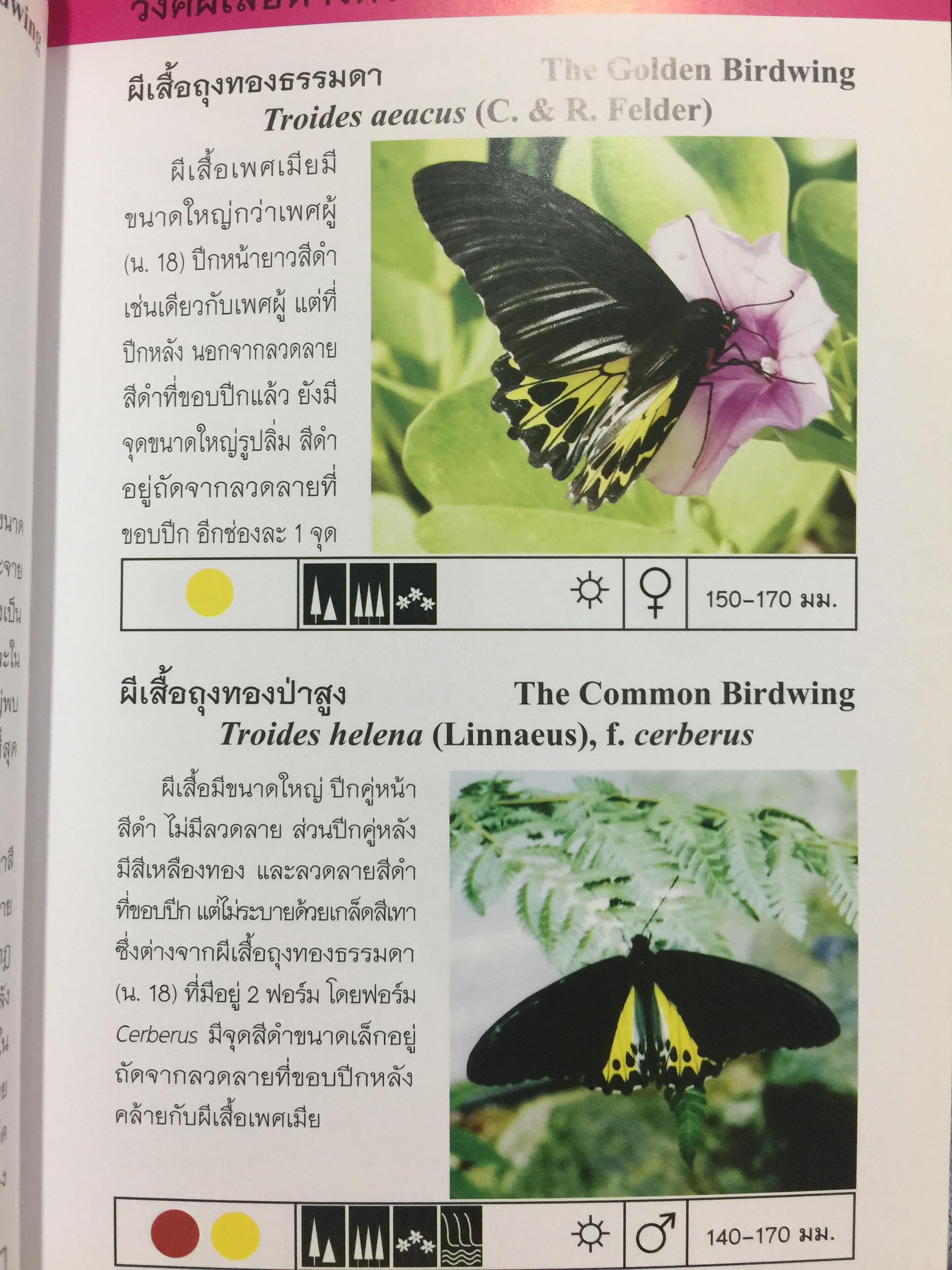 บันทึกผีเสื้อ 2. BUTTERFLIES AND SKIPPERS จัดทำโดย สำนักวิจัยการอนุรักษ์ป่าไม้และพันธุ์พืช กรมอุทยานแห่งชาติ สัตว์ป่าและพันธุ์พืช 0 กก.