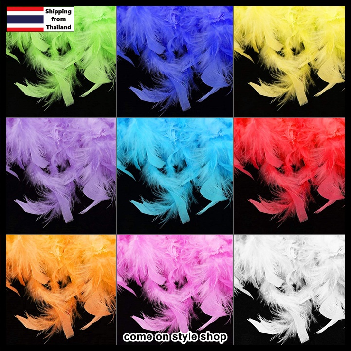 ขนนกเฟอร์ ขนนกเส้น แกสบี้ ปาร์ตี้ แฟนซี